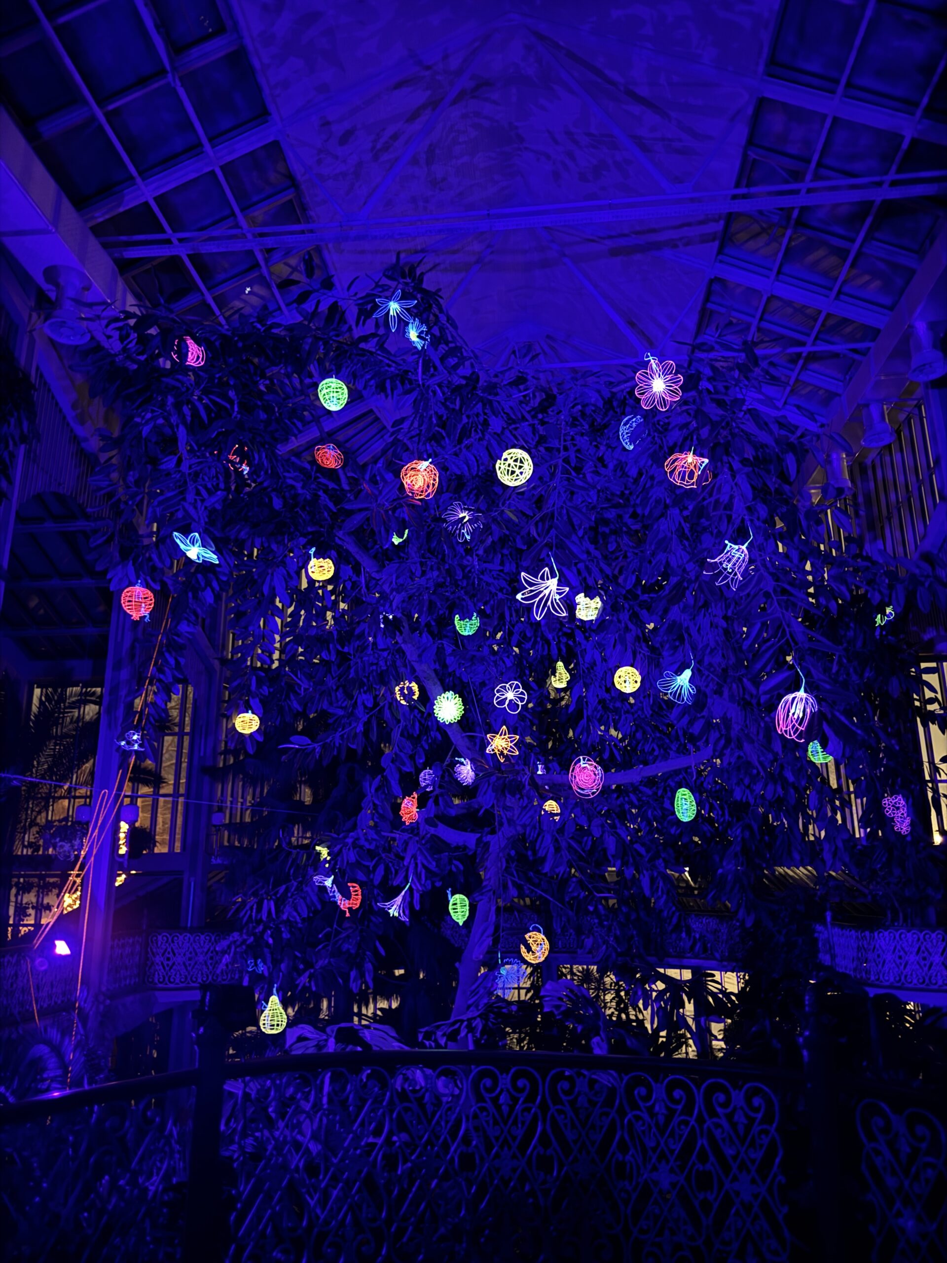 Kretingos muziejaus Žiemos sode rojaus spalvomis pražydo Gyvybės medis