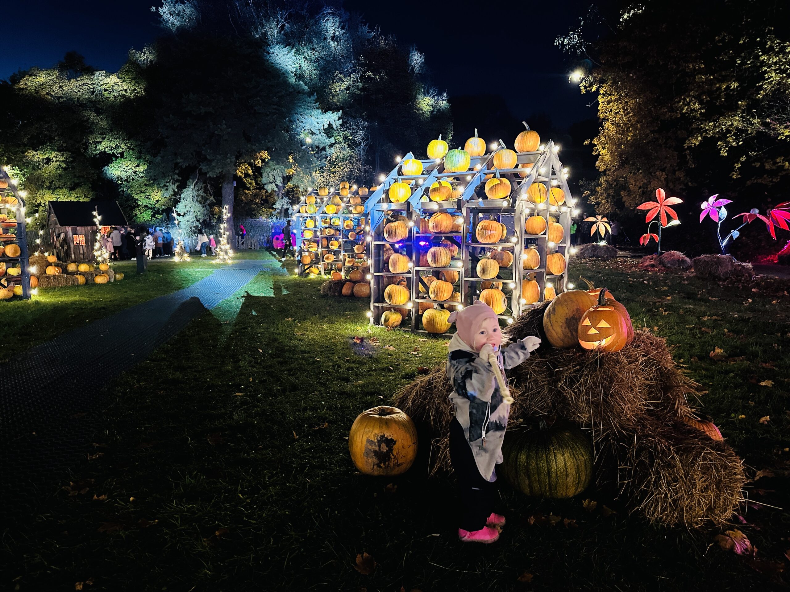 Šviečiantys moliūgai