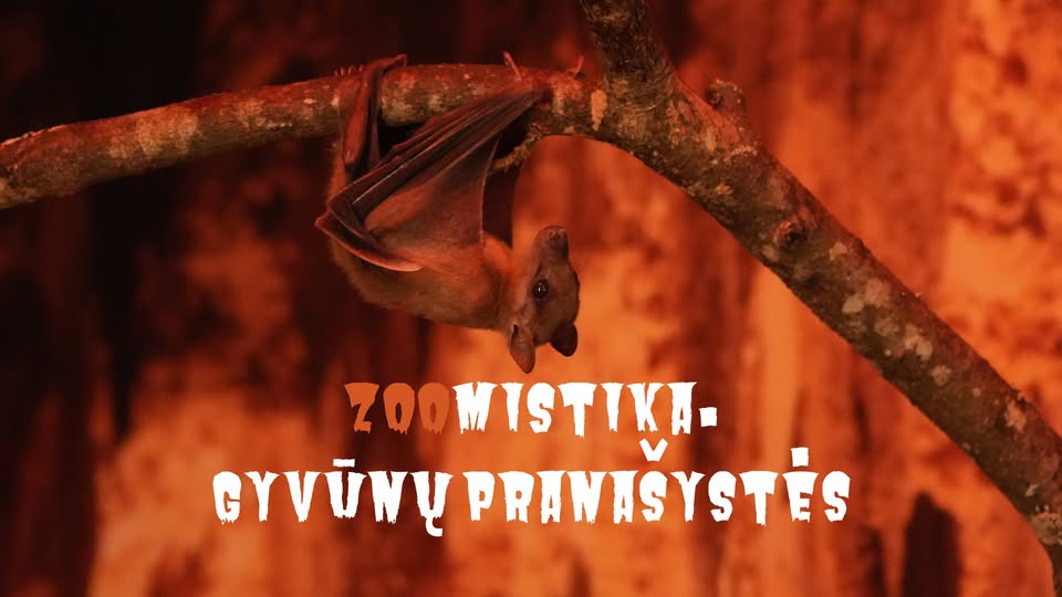 Helovynas Zoopark Kaune