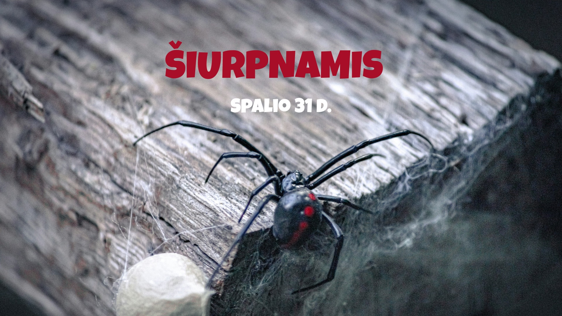 Helovynas Zoopark Vilniuje