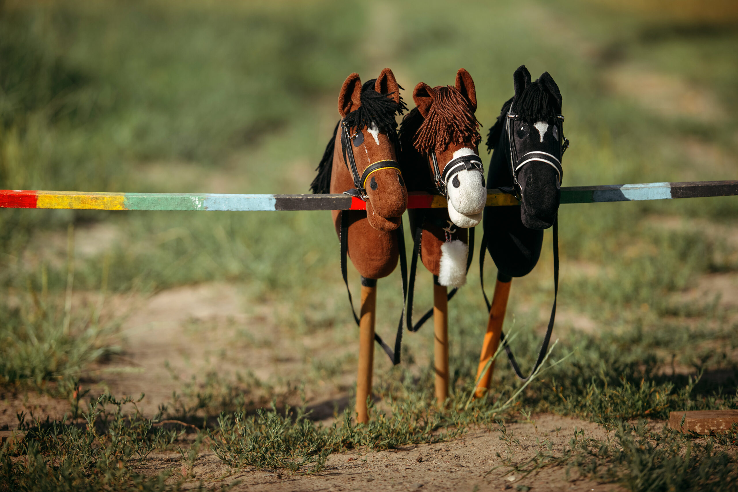 „Hobby Horse“ – nuo entuziastų iki pirmą kartą bandančių