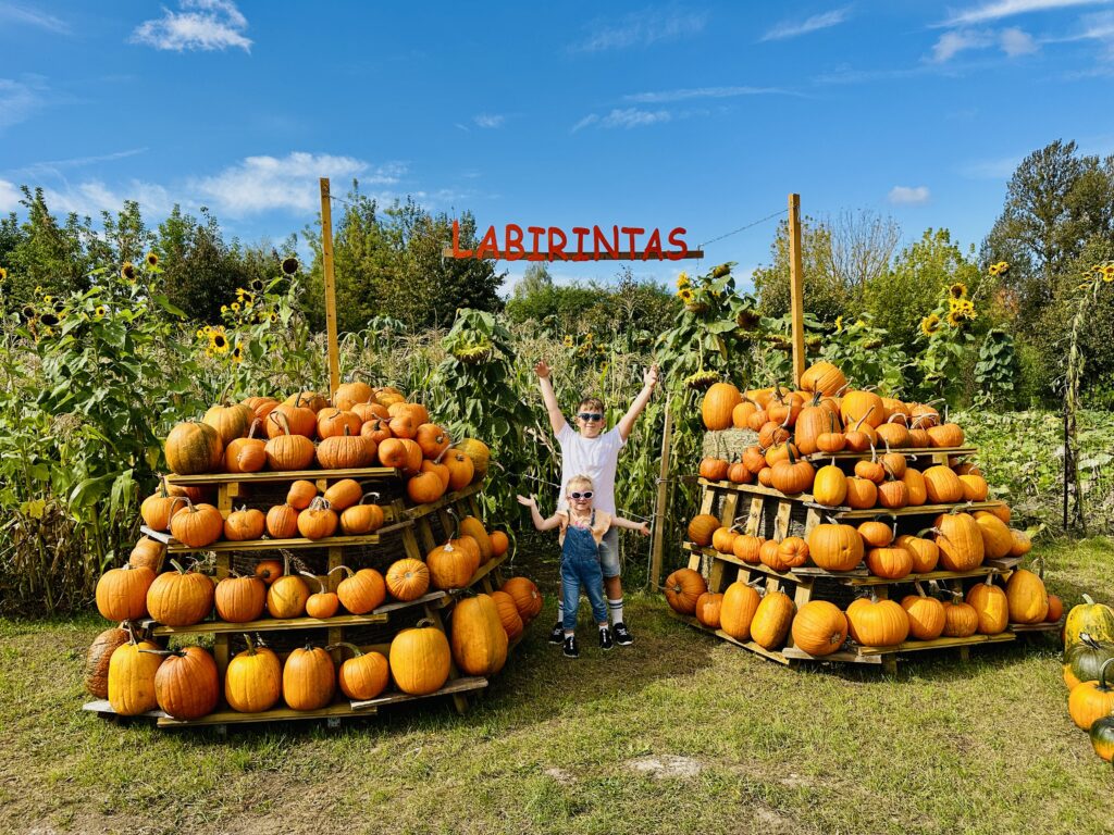 Didžiausias nemokamas moliūgų parkas Lietuvoje