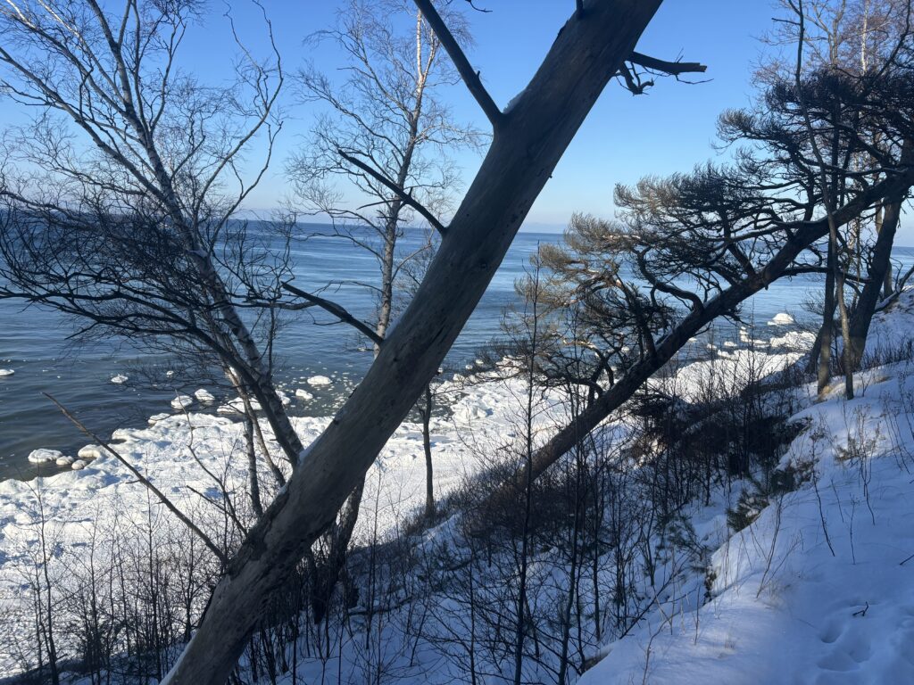 Žiema Lietuvos pajūryje: įspūdinga Olandų kepurė