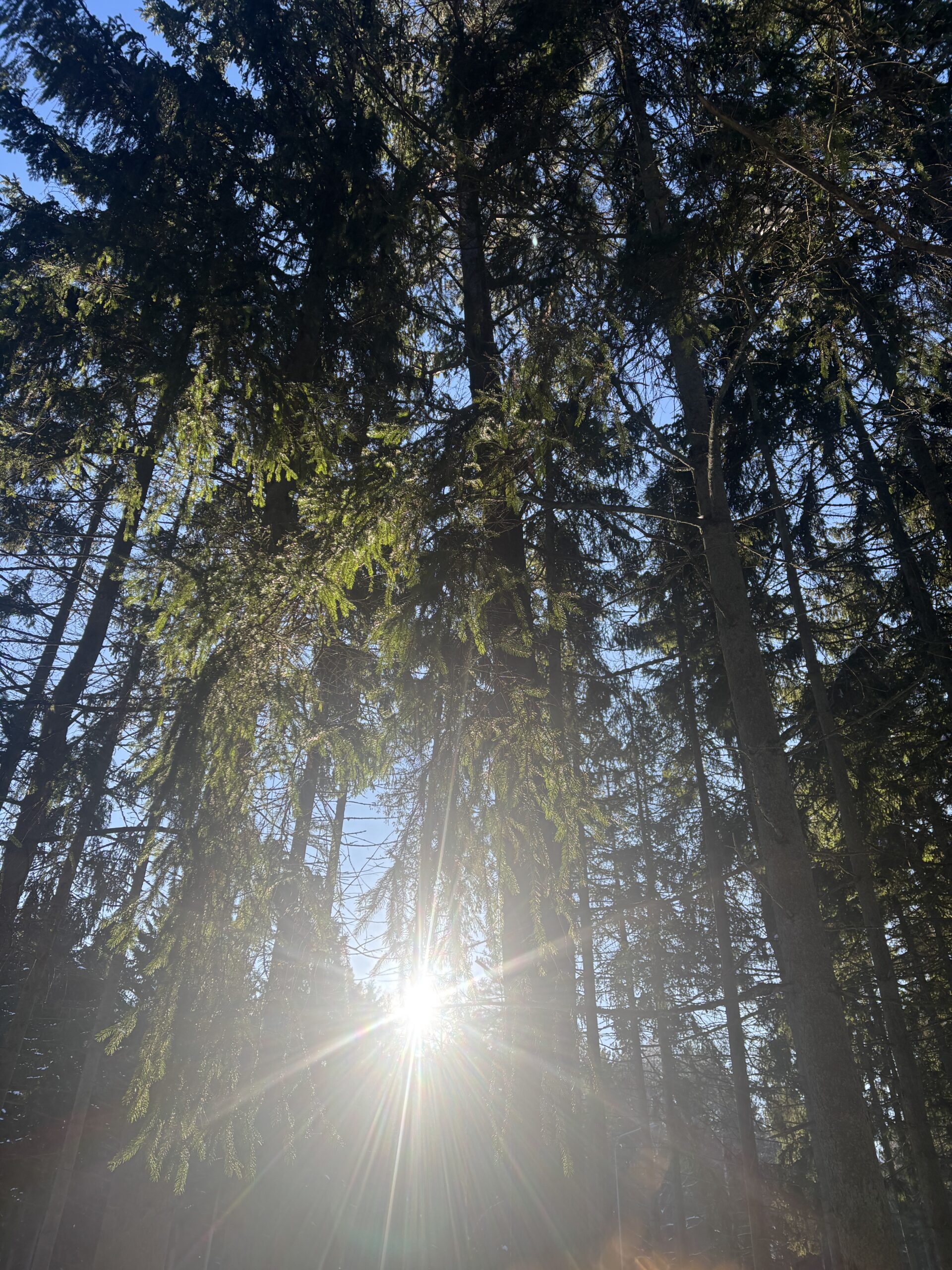 Žiema Lietuvos pajūryje