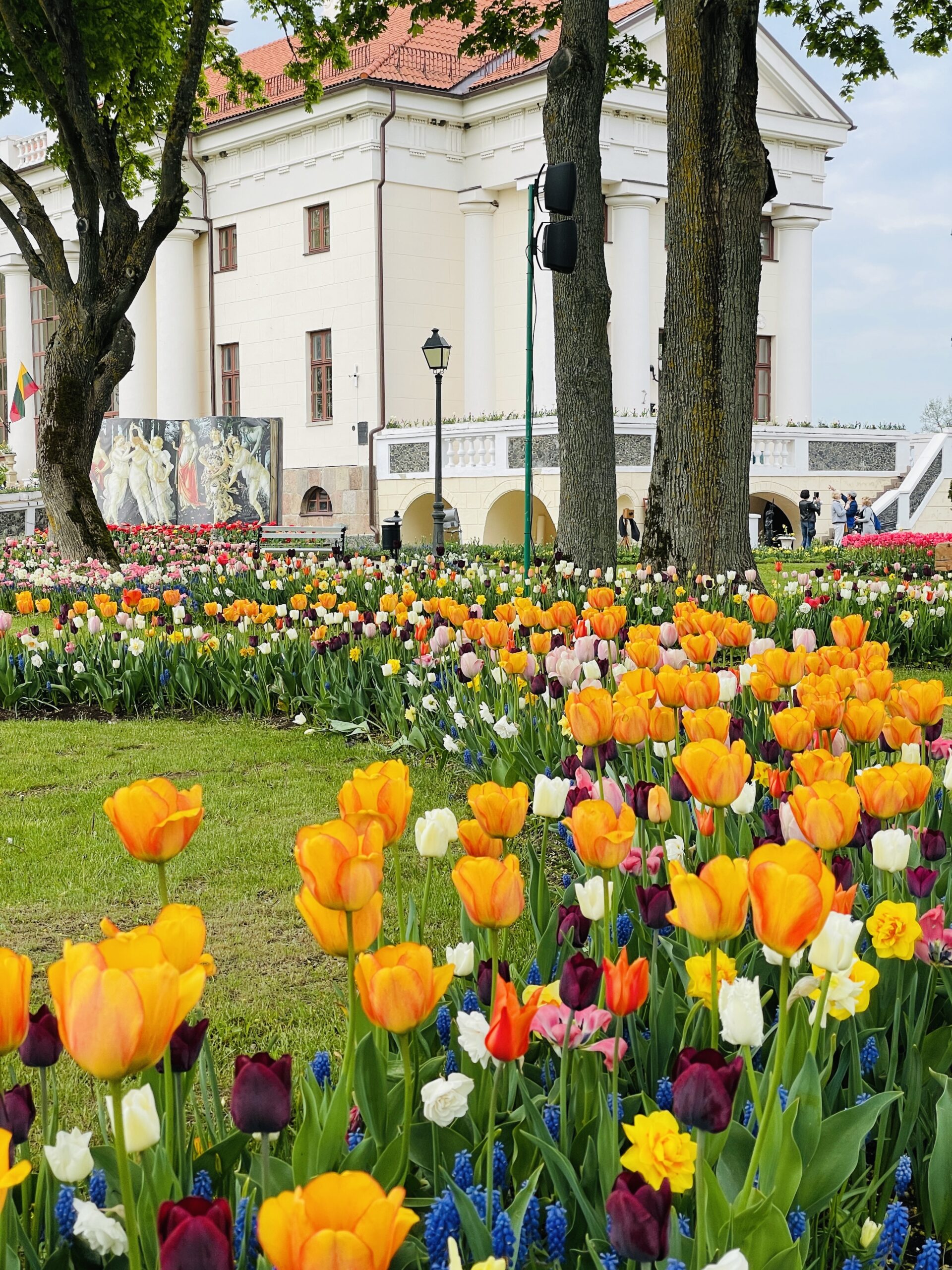 Tulpių ir pavasario gėlių festivalis „Renesansas“