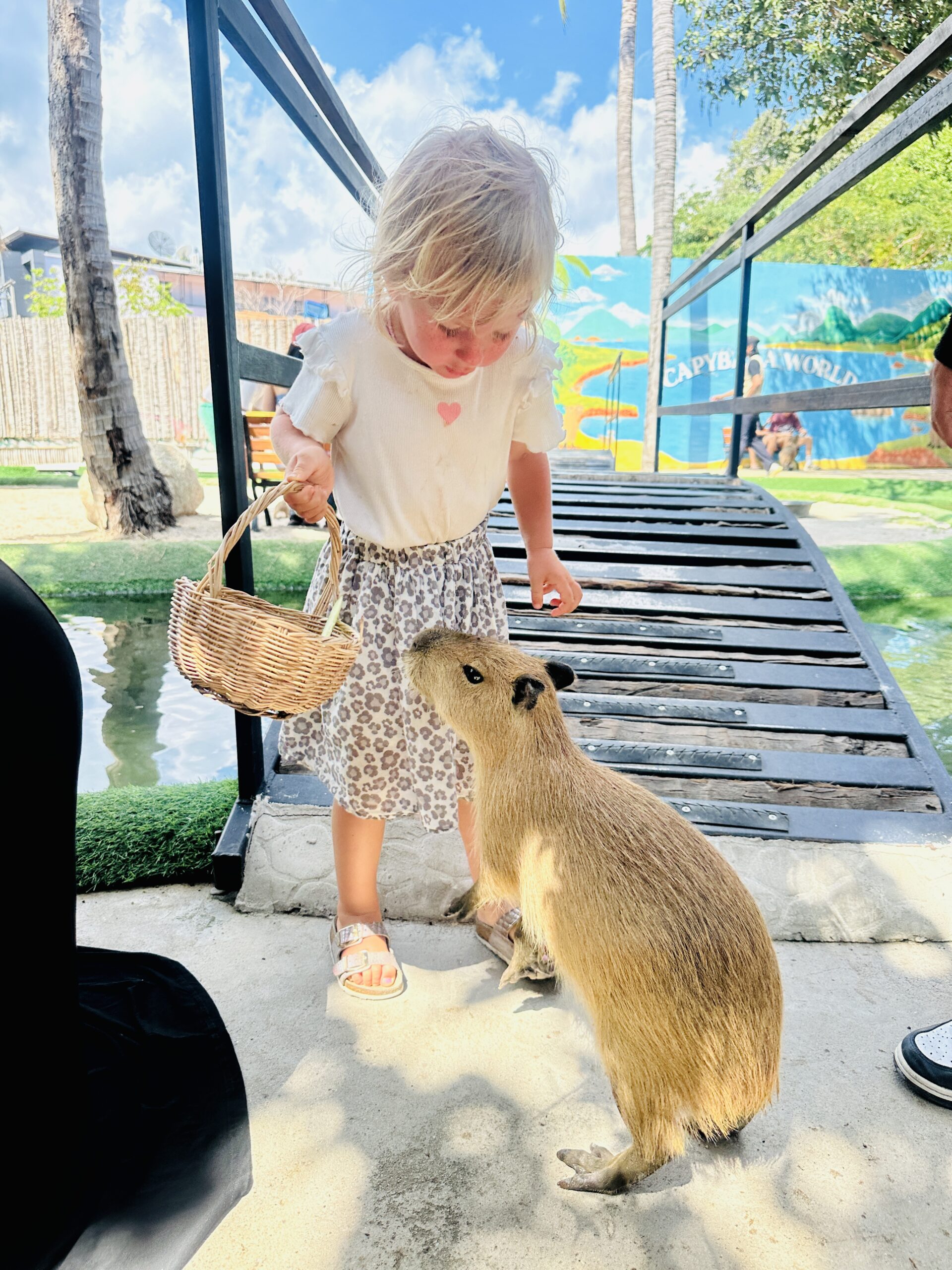 Koh Samui su vaikais