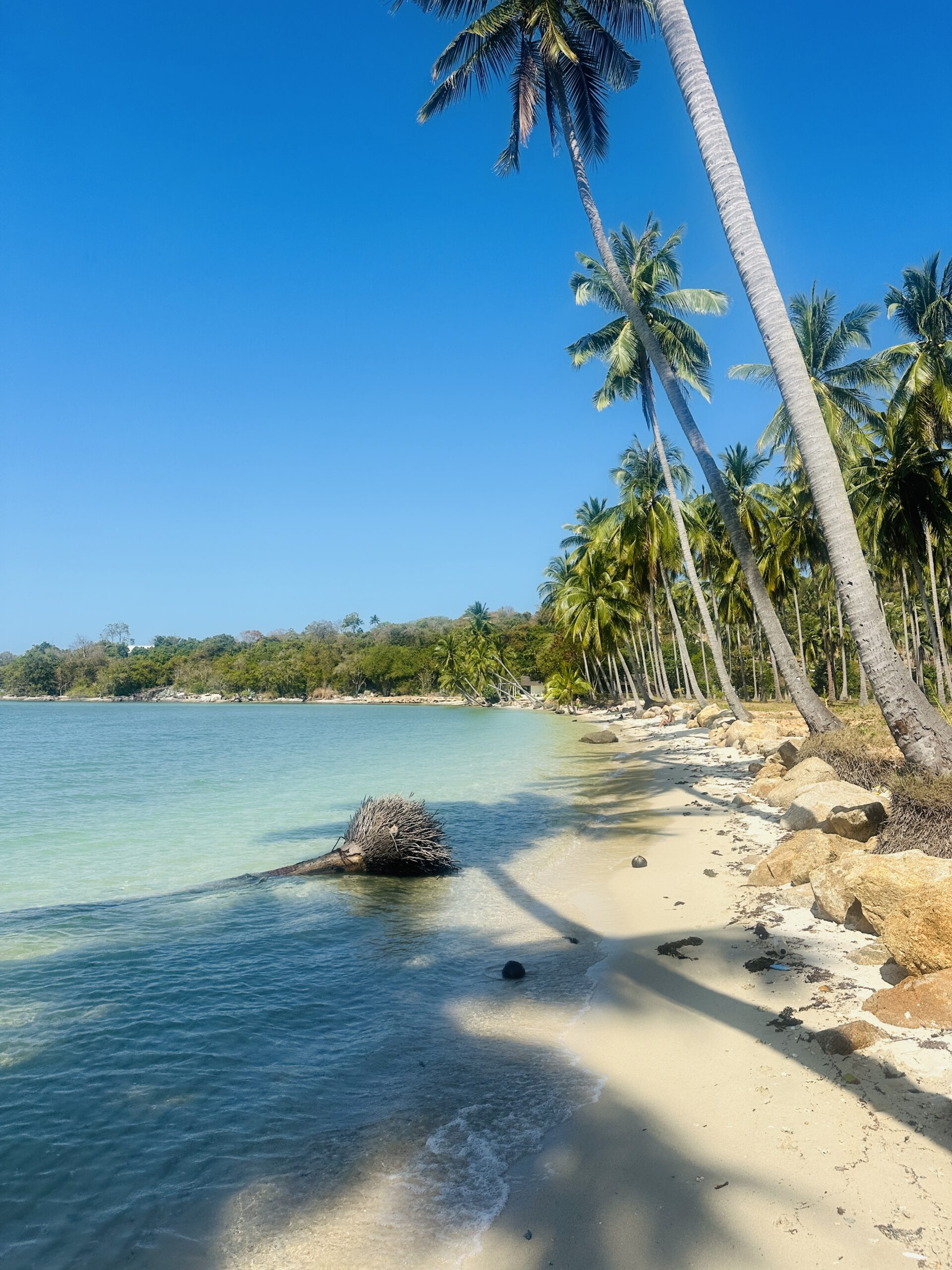 Koh Samui sala