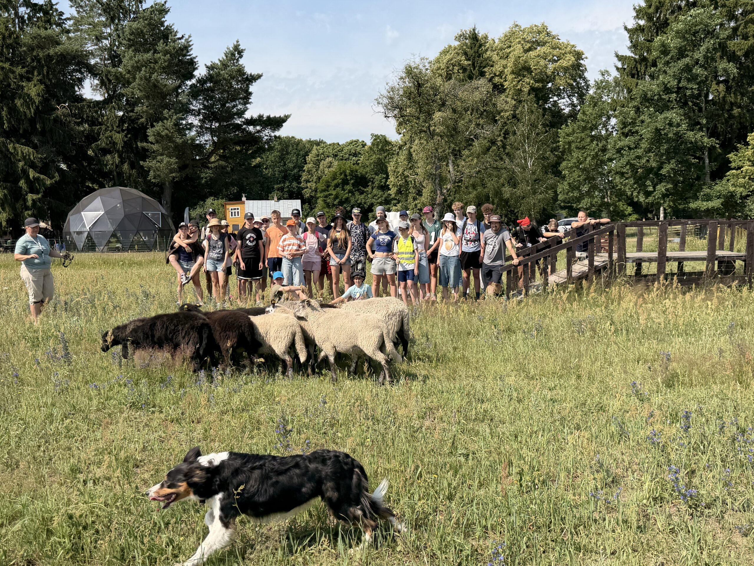 Gimtadienis ūkyje „Unikalus greitis“