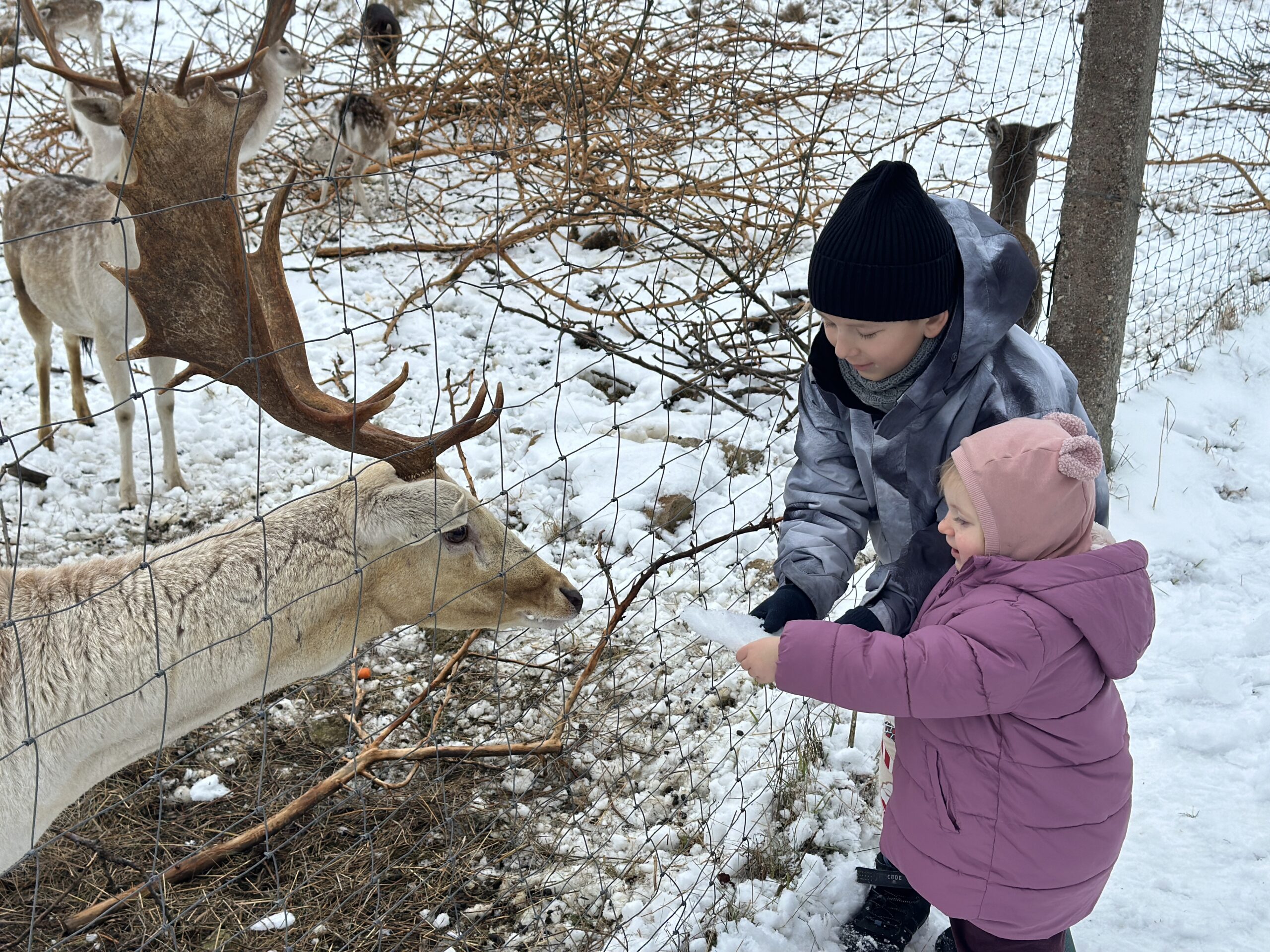 Arčiau Gamtos Anykščiai