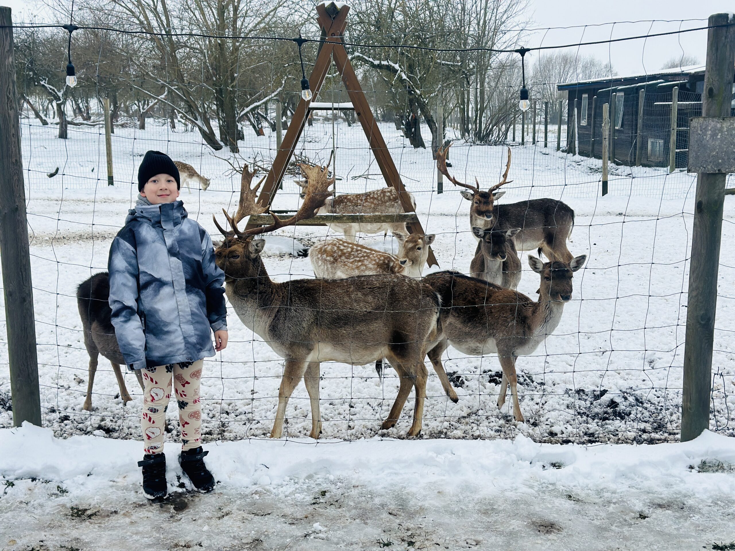 Bistrampolio dvaro ūkis žiemą