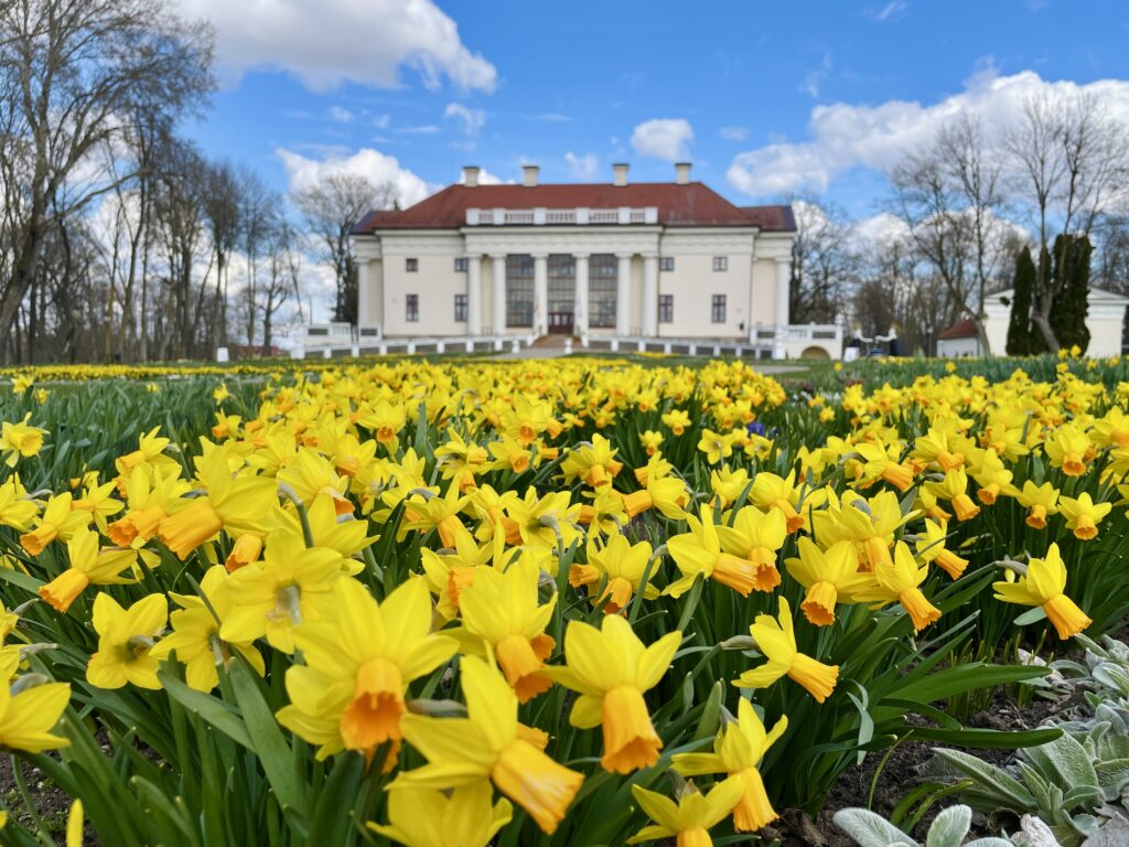 Savaitgalį startuoja Renesanso įkvėptas tulpių ir pavasario gėlių festivalis Pakruojo dvare