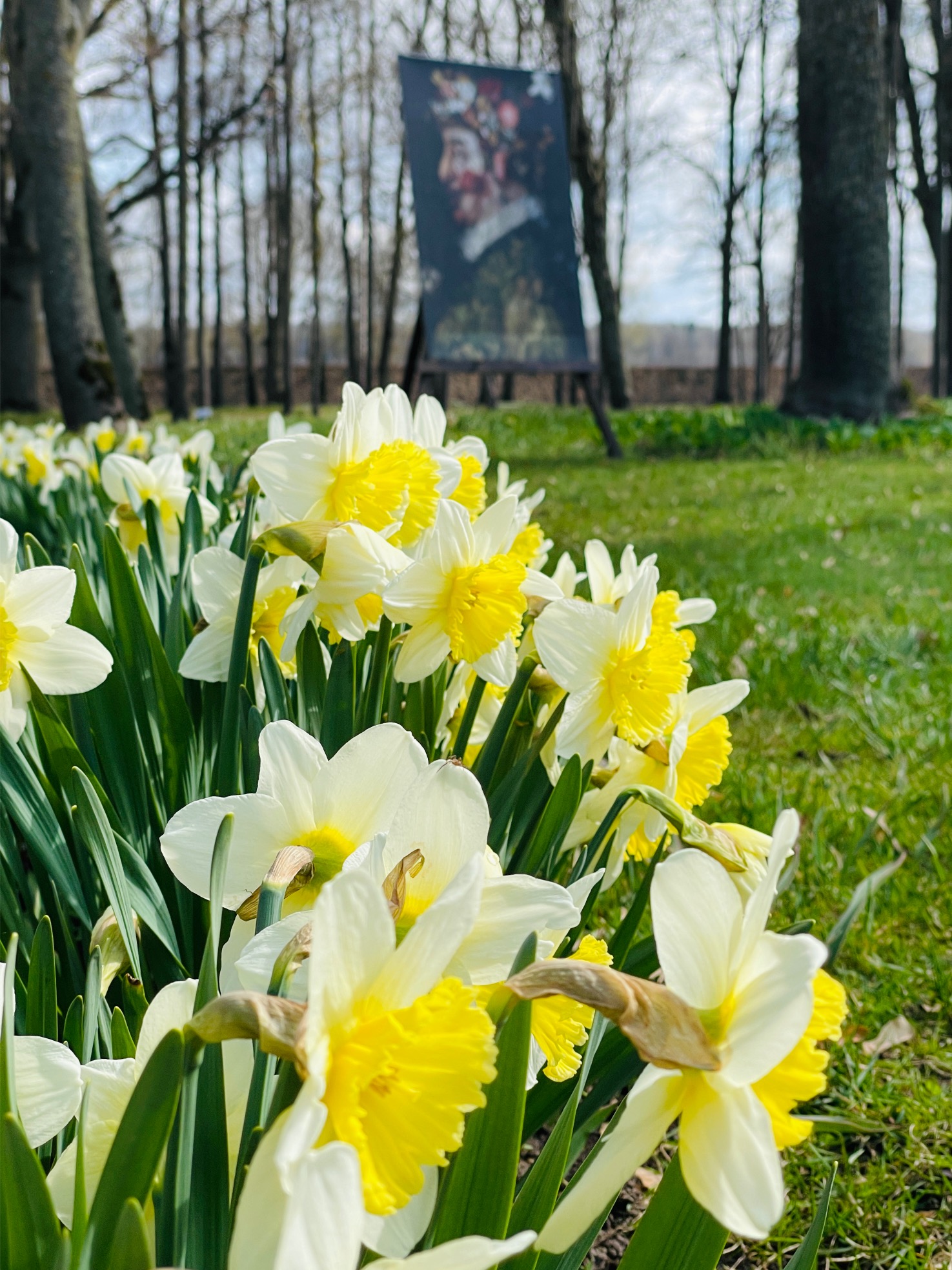 Pakruojo dvaro gėlynai