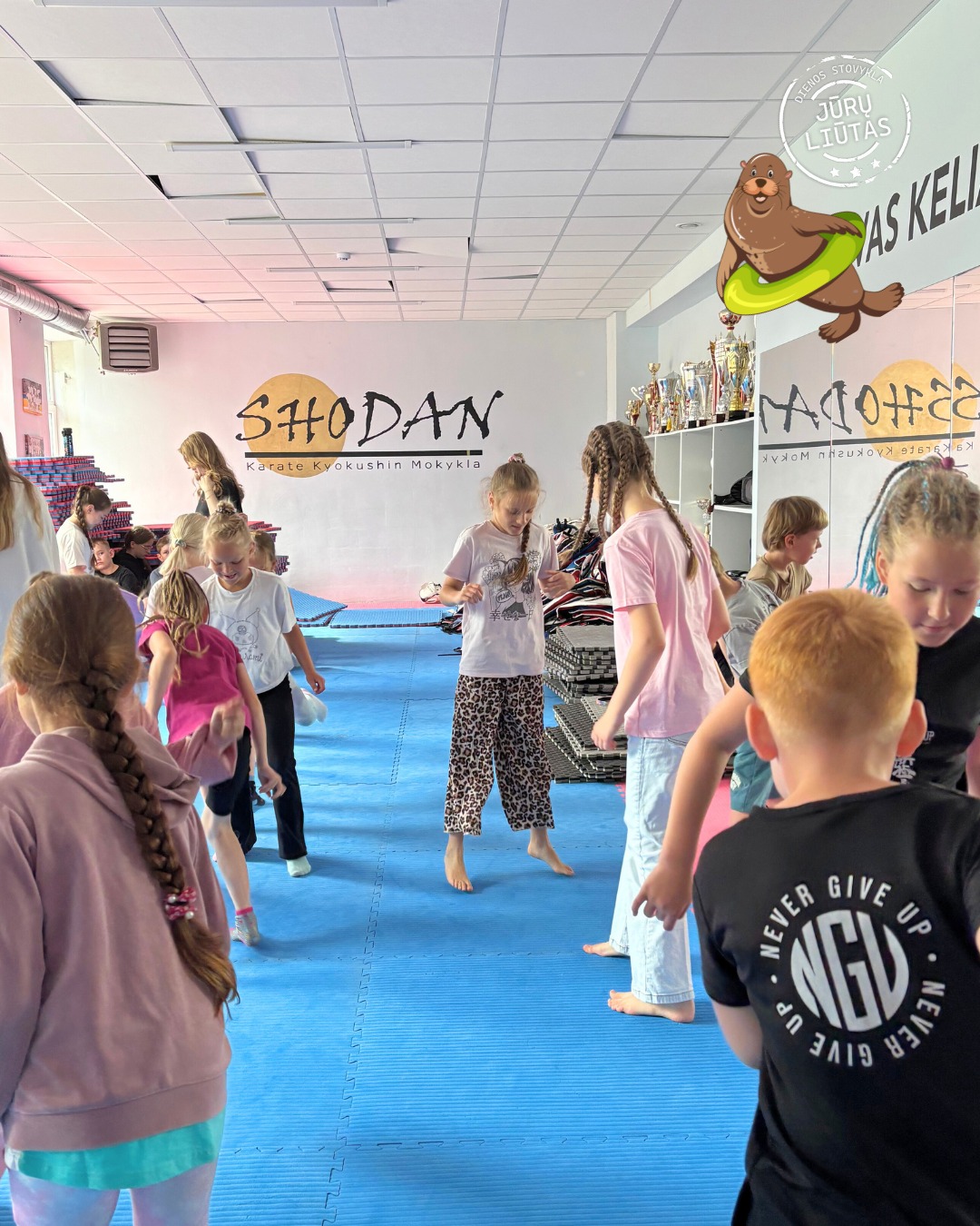 Vasaros plaukimo stovykla vaikams Jūrų liūtas