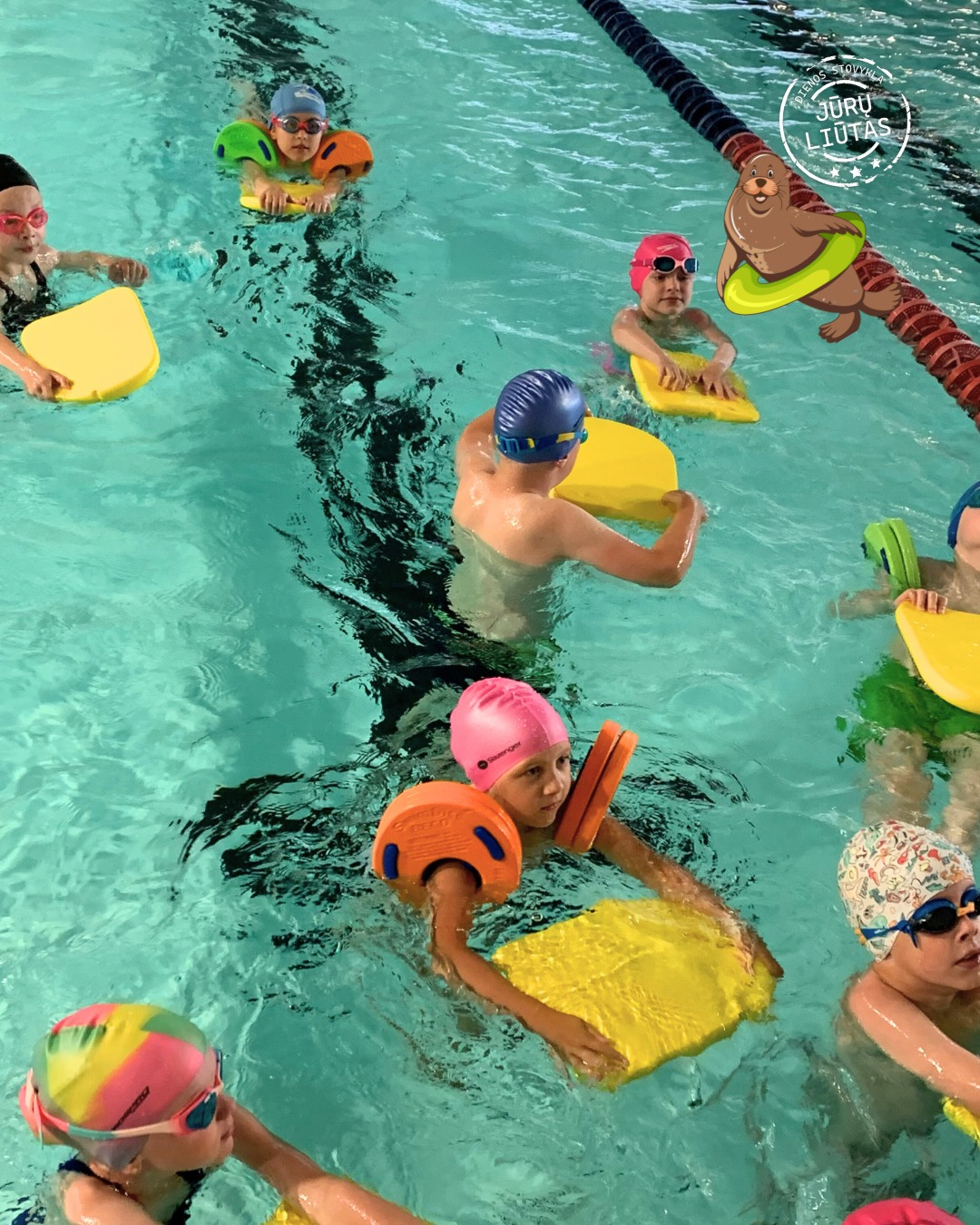 Vasaros plaukimo stovykla vaikams Jūrų liūtas