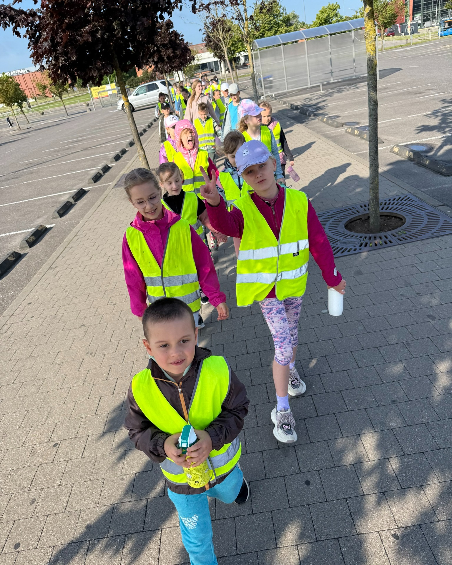 Vasaros plaukimo stovykla vaikams Jūrų liūtas