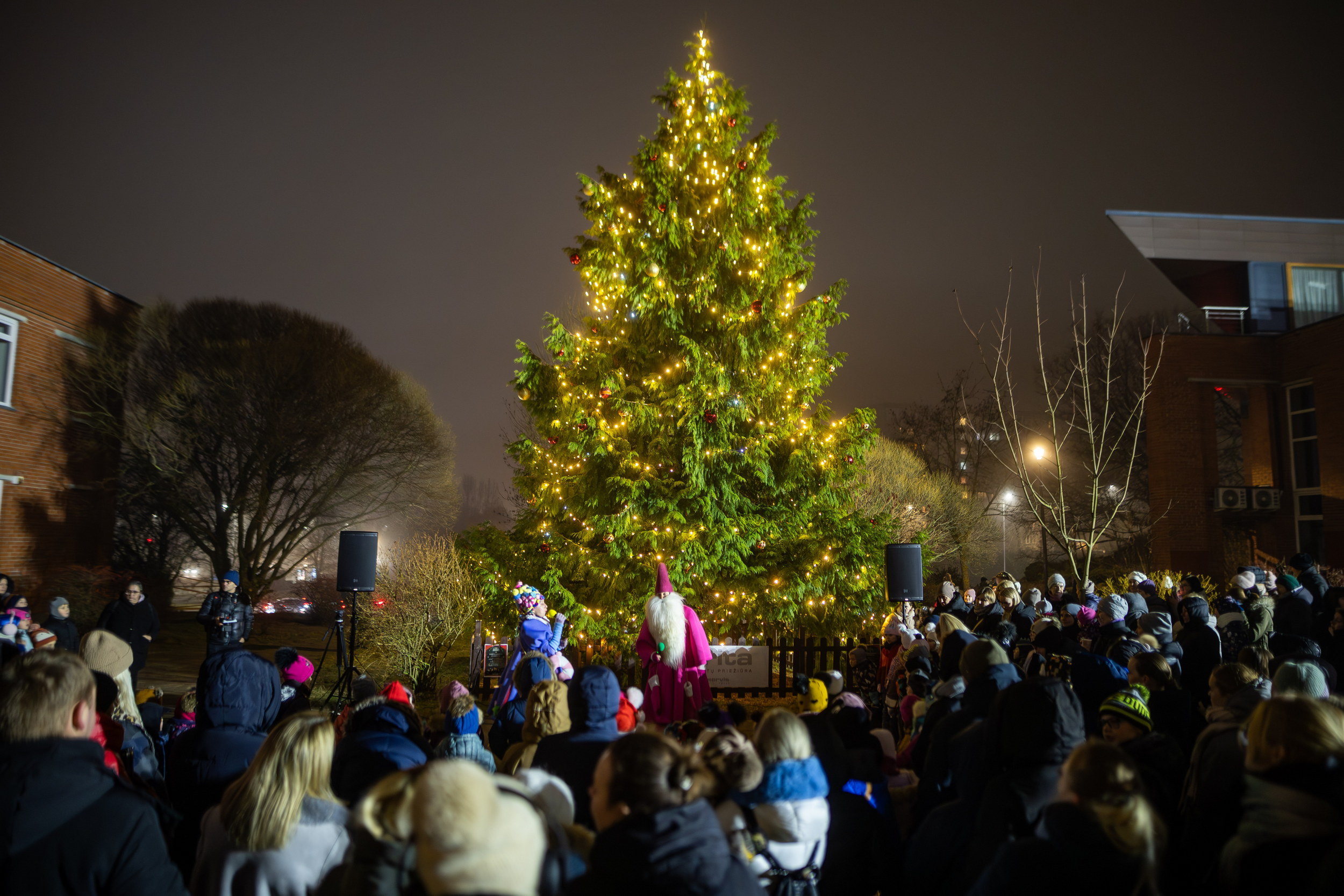 „Kaimynų Kalėdos“ grįžta į Vilniaus seniūnijas (nuotr. Saulius Žiūra)