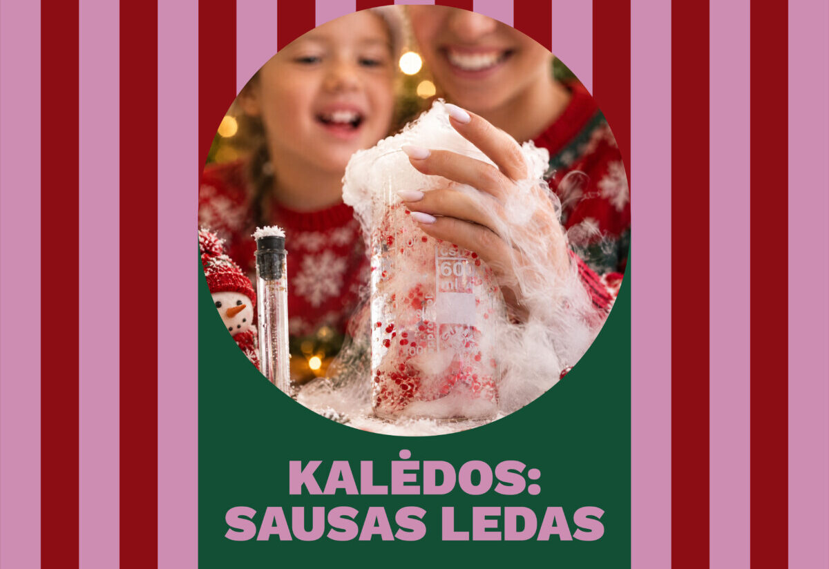 Edukacinės Kalėdų programos Edulande Kaune