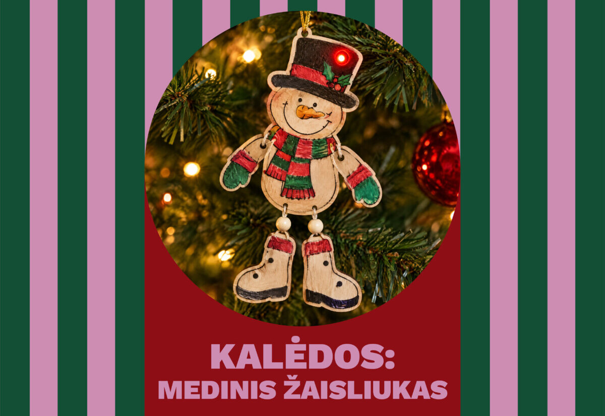 Edukacinės Kalėdų programos Edulande Kaune