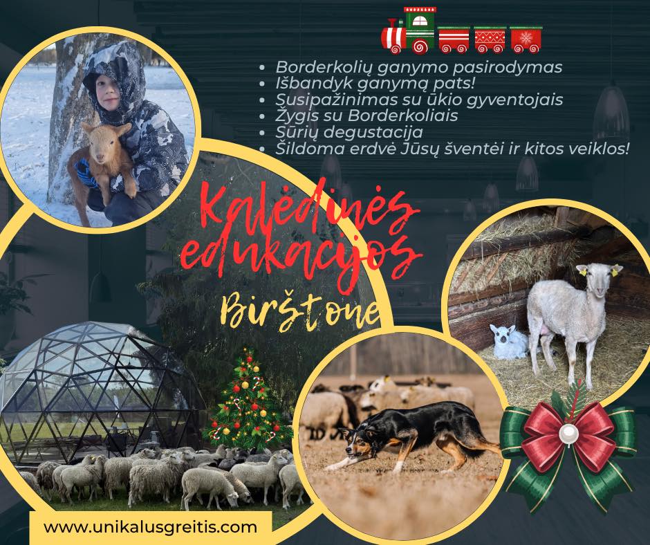 Kalėdinės ekskursijos edukacijos ir programos vaikų grupėms