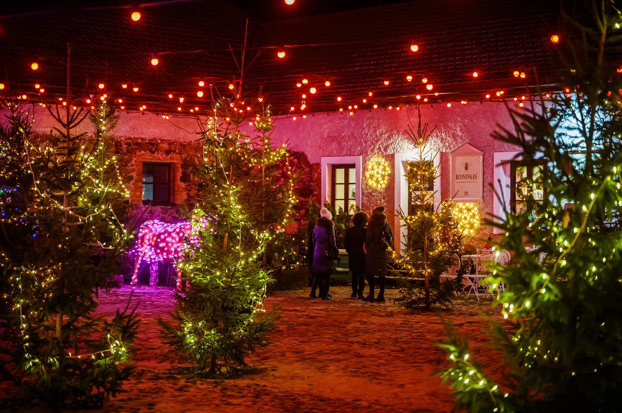 Kalėdos Pakruojo dvare