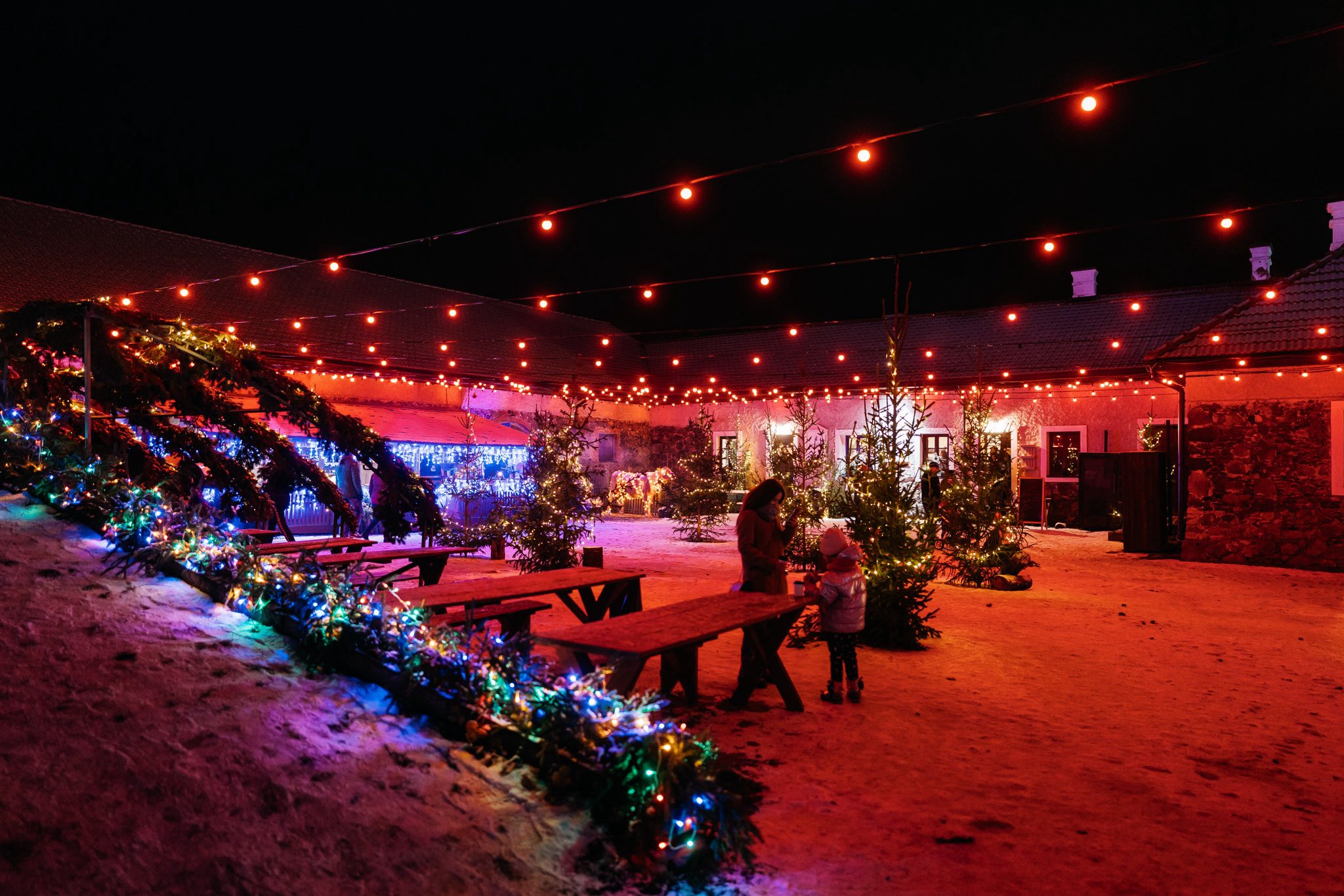 Kalėdos Pakruojo dvare