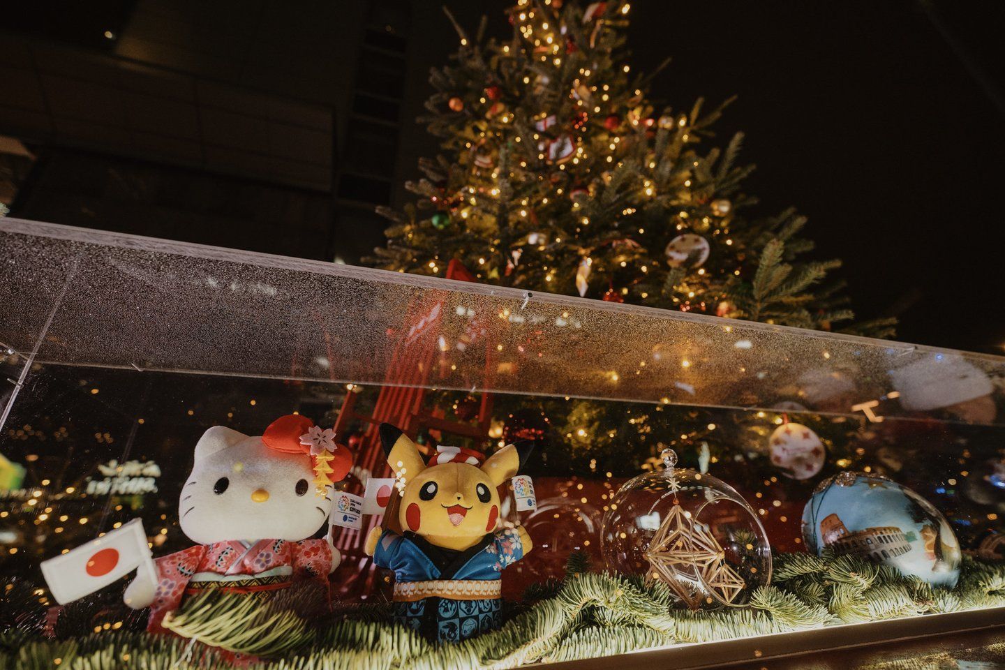 Tarptautinis kalėdinių eglučių miškas Vilniuje