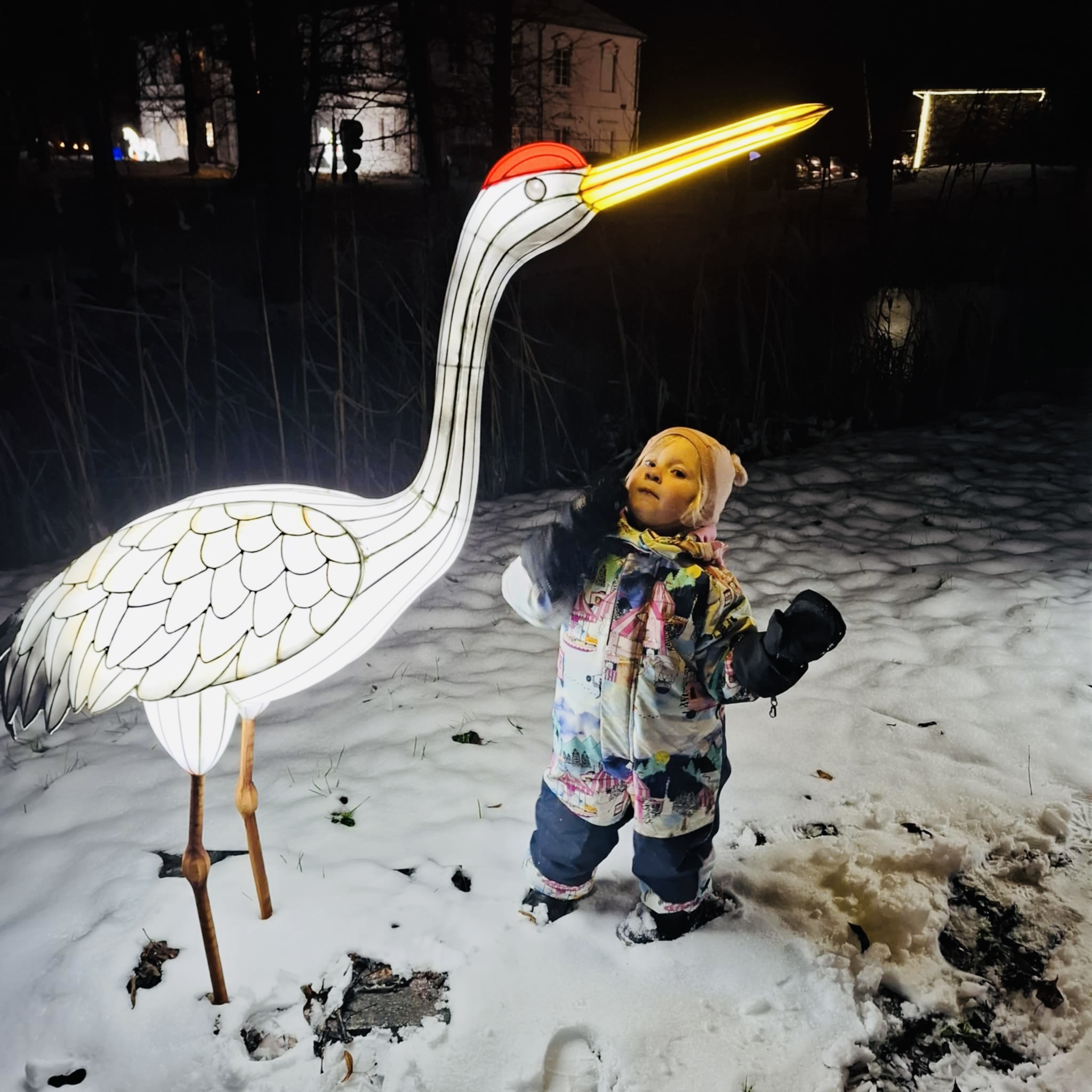 Šviesų festivalis Bistrampolio dvare