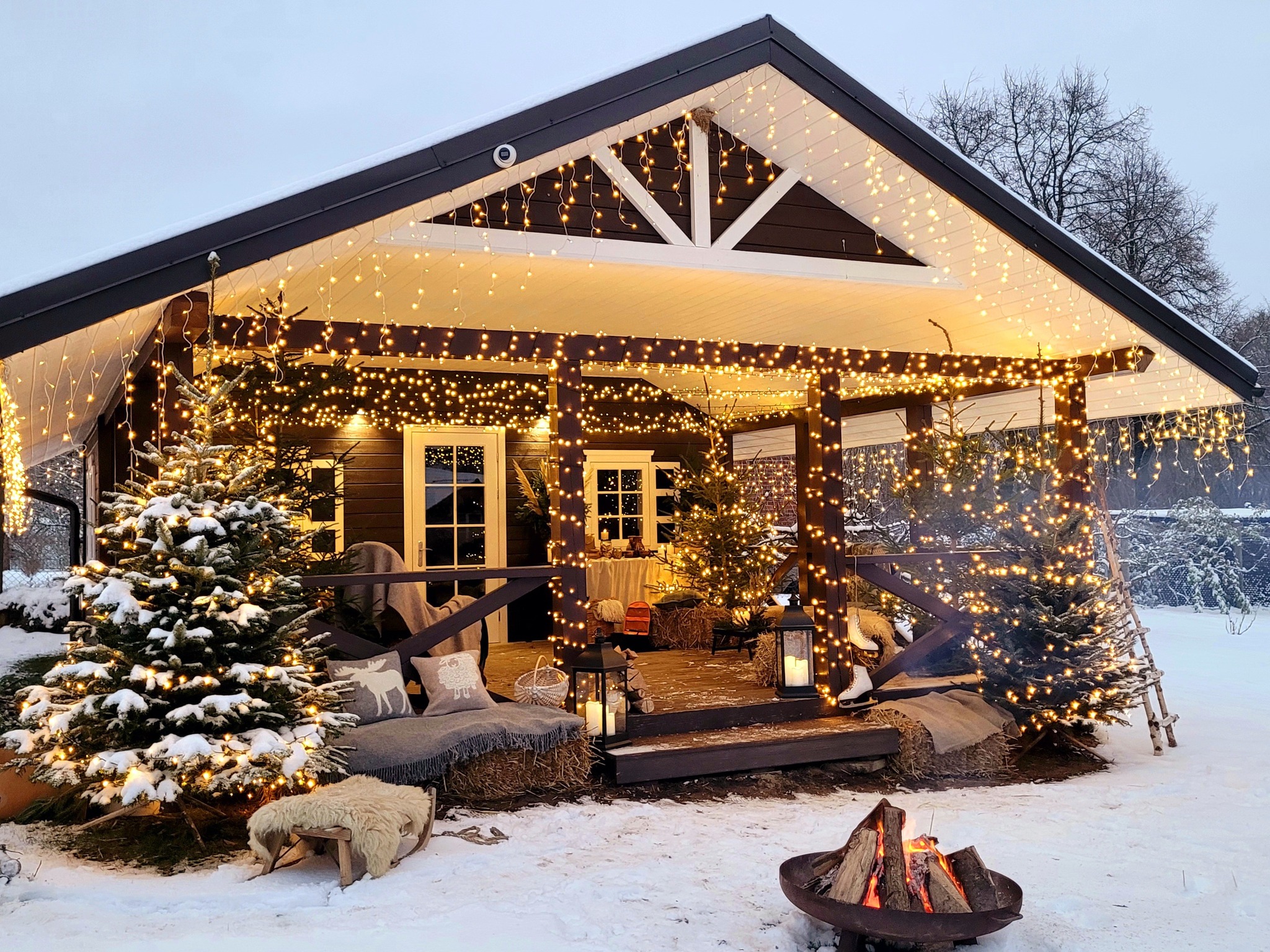 Kalėdos Jonavos alpakų ūkyje