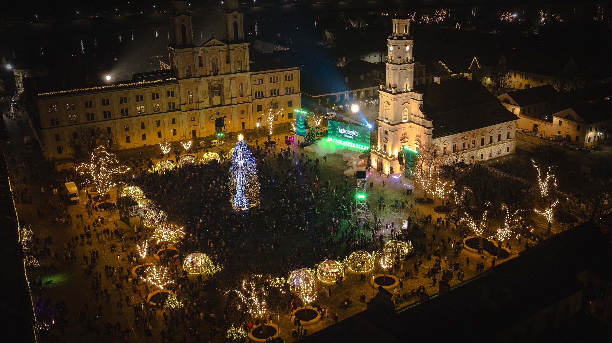 Kauno Kalėdų eglė 2025