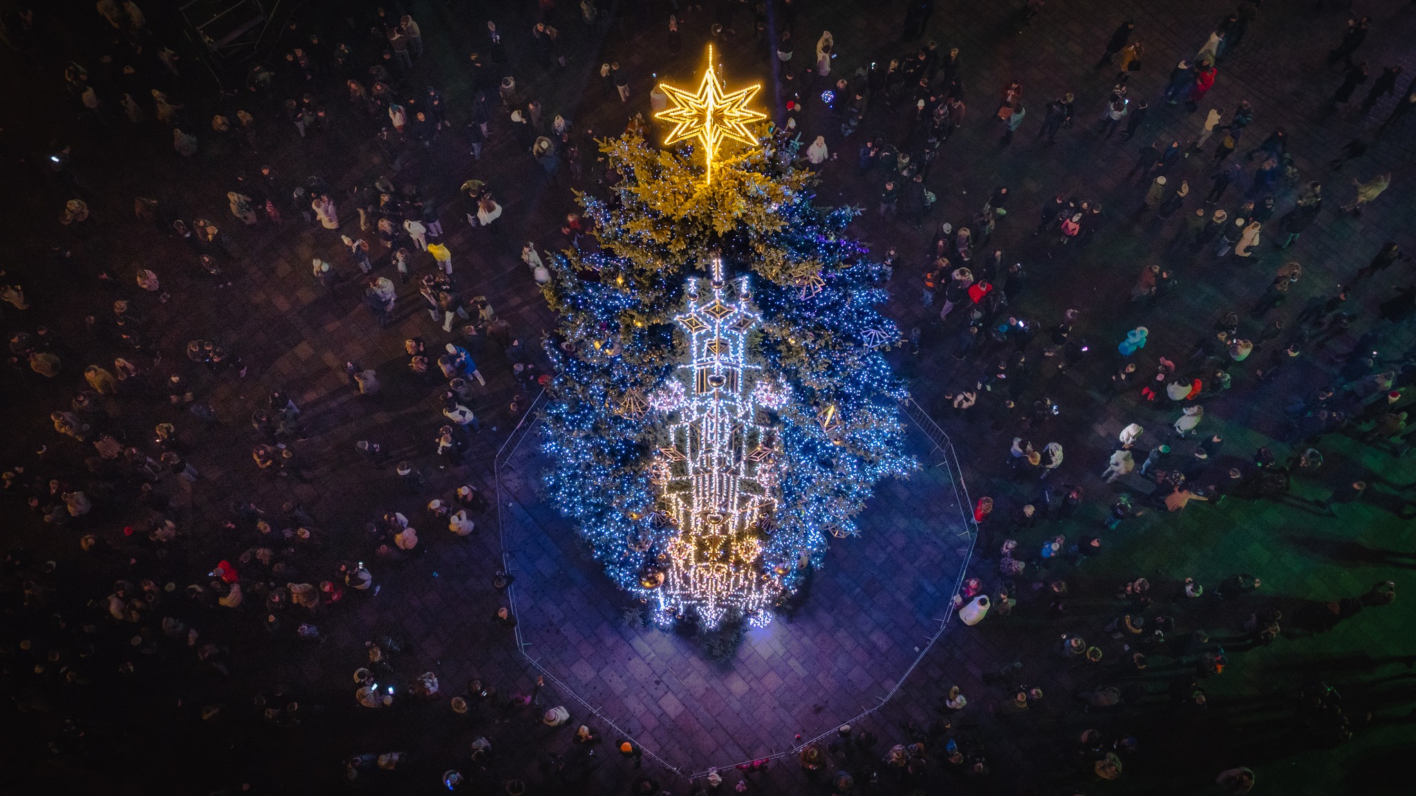 Kauno Kalėdų eglė 2025