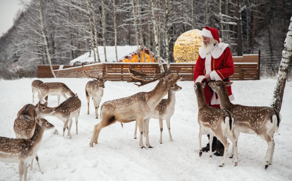 Kalėdos Lietuvoje 2025: TOP 20 gražiausių vietų, kurias būtina pamatyti