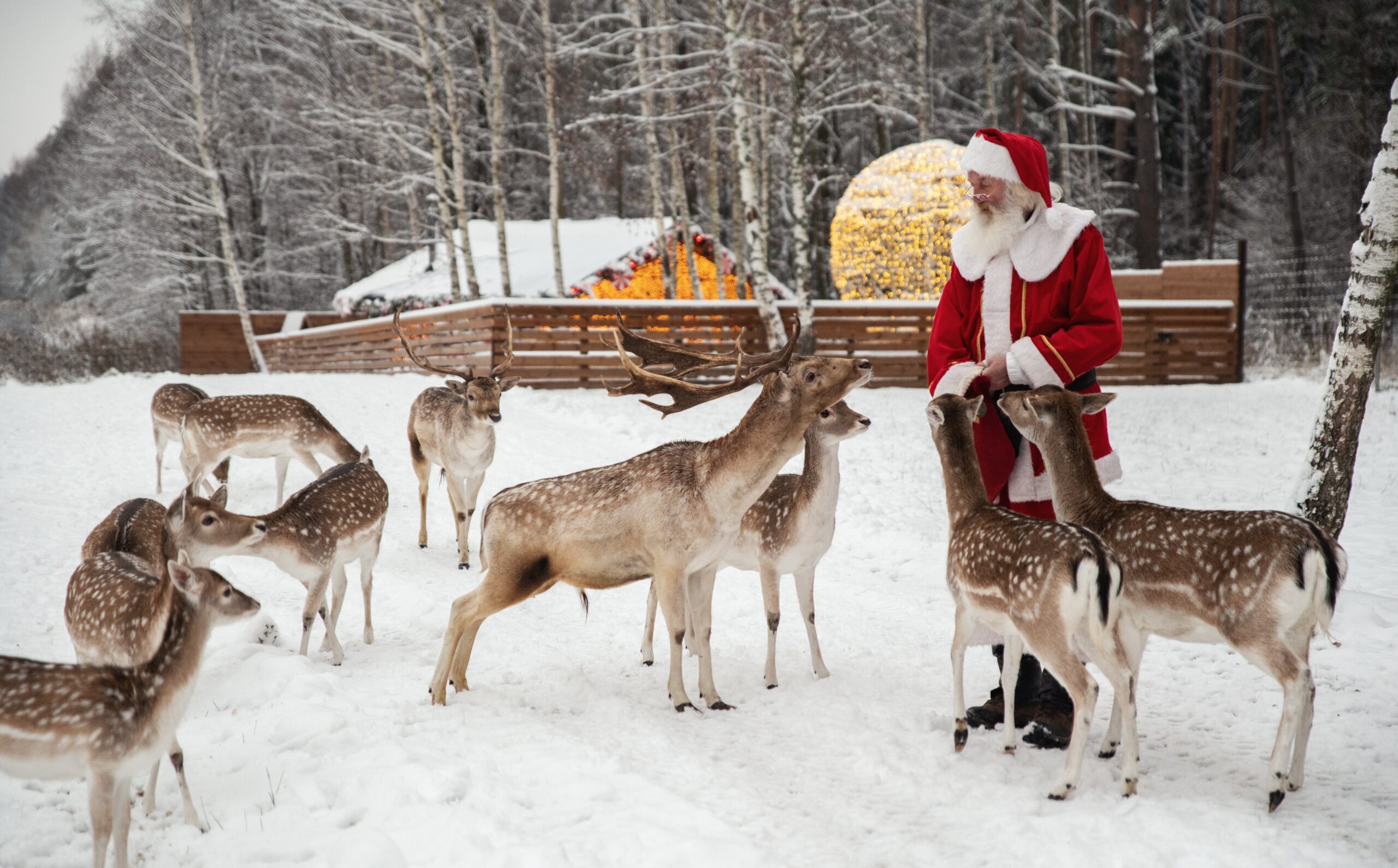 Kalėdos Lietuvoje 2025: TOP 20 gražiausių vietų, kurias būtina pamatyti