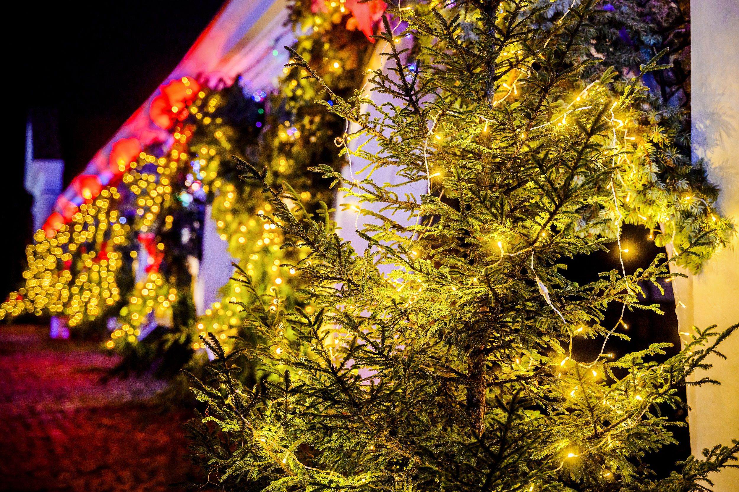 Kalėdos Pakruojo dvare