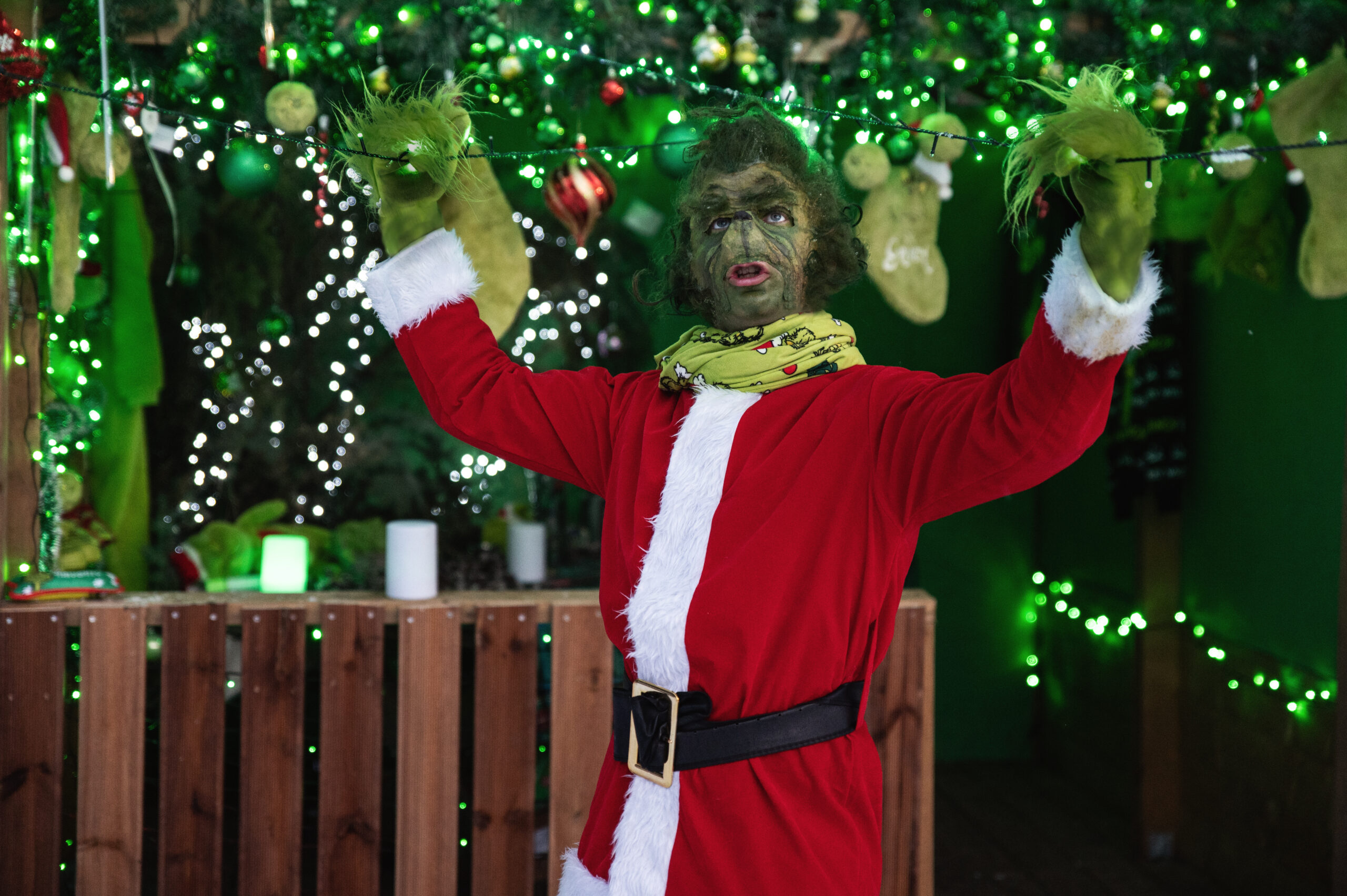 Kalėdos Perlinių danielių parke 2025 (nuotr. autorius Edvardas Jurgaitis)