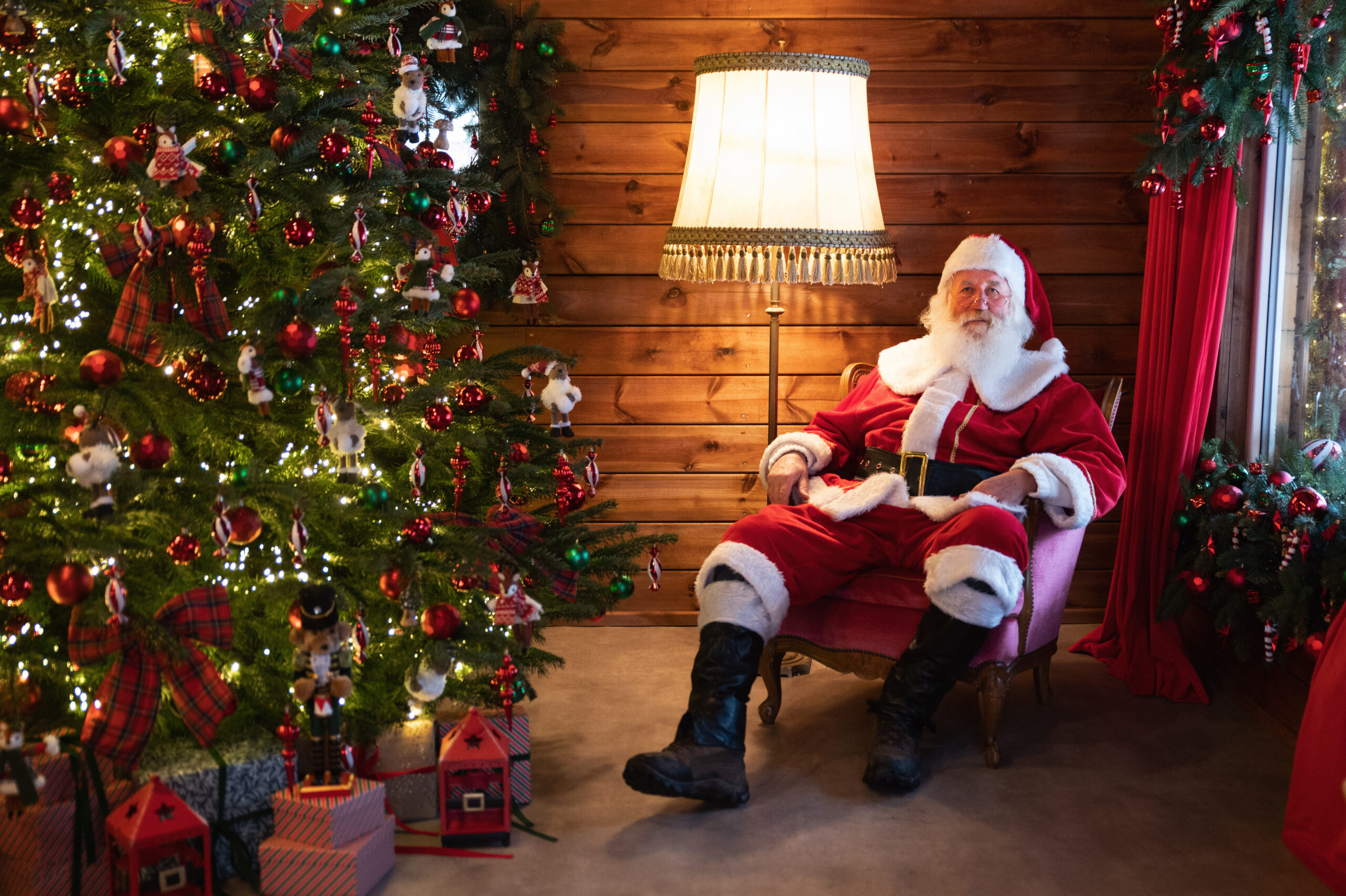 Kalėdos Perlinių danielių parke 2025 (nuotr. autorius Edvardas Jurgaitis)