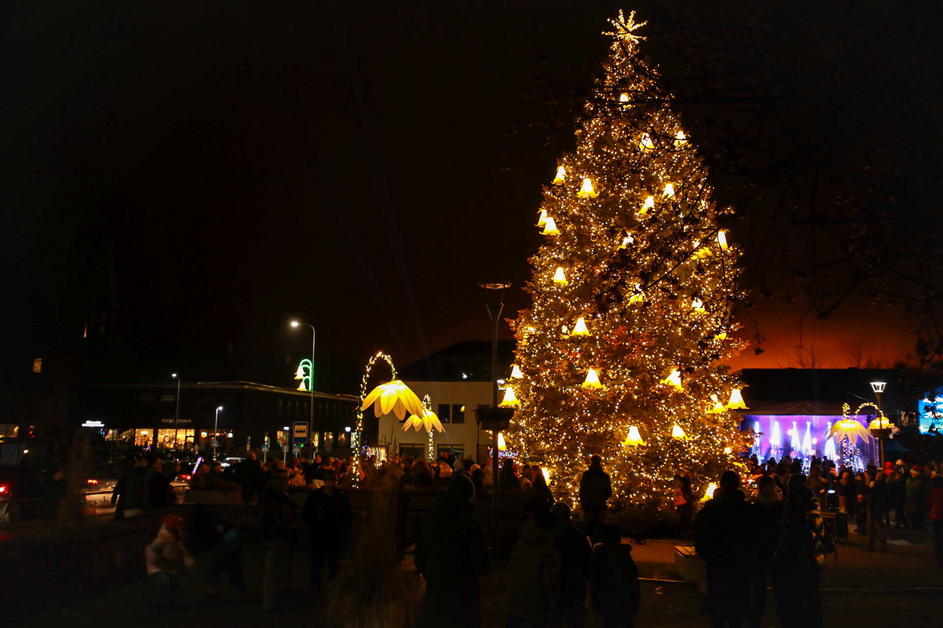 Anykščių Kalėdų eglutė 2025