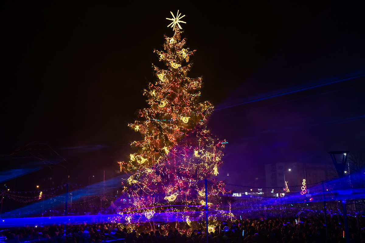Mažeikių Kalėdų eglutė 2025 (nuotr. Kazio Vozgirdo)