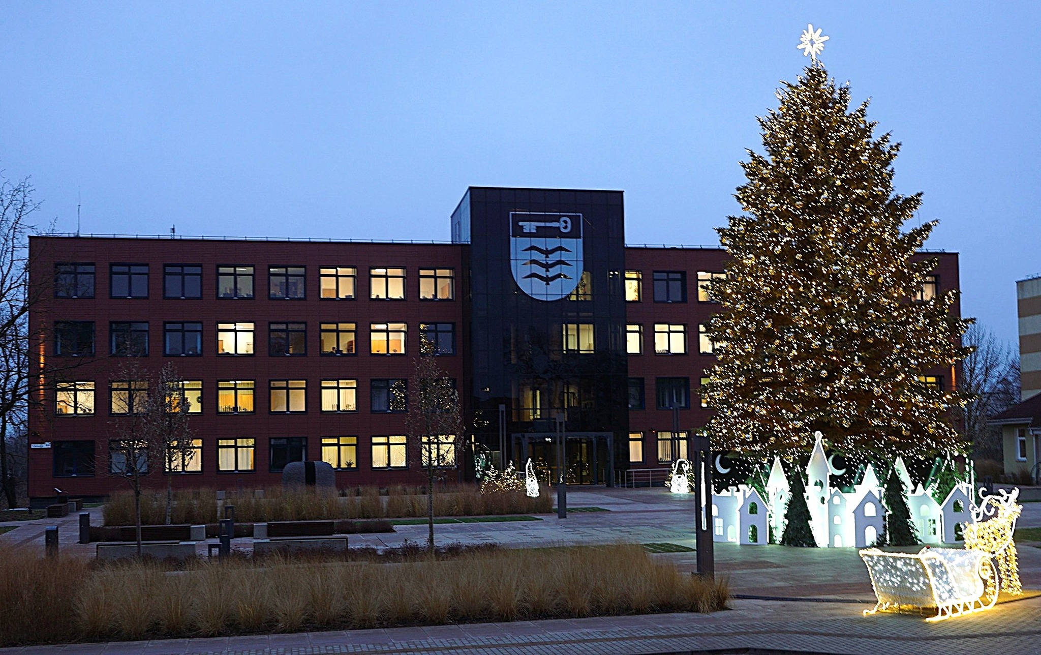 Molėtų Kalėdų eglutė 2025