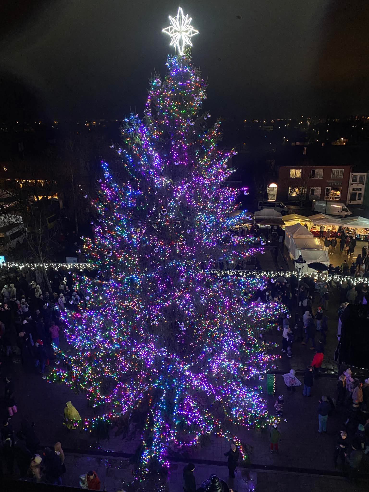 Plungės Kalėdų eglutė 2025