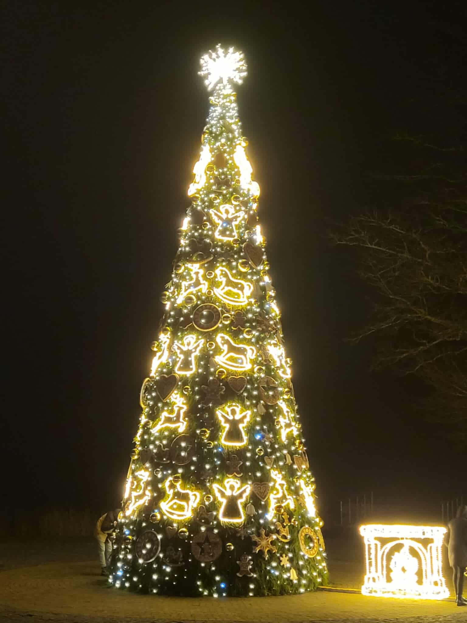 Trakų Kalėdų eglutė 2025