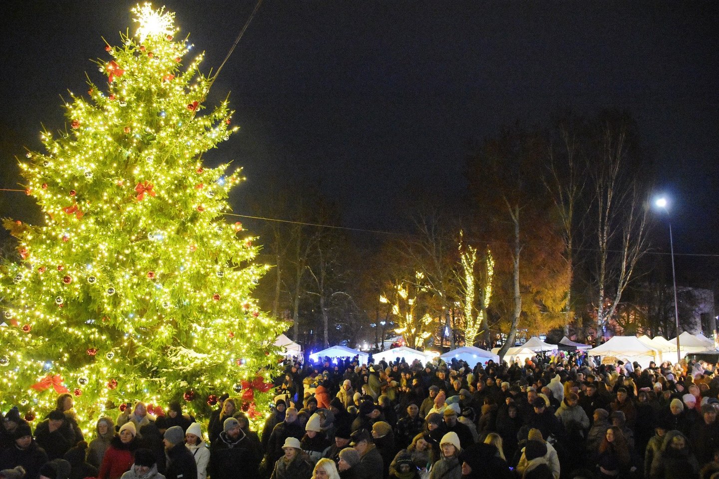 Zarasų Kalėdų eglutė 2025