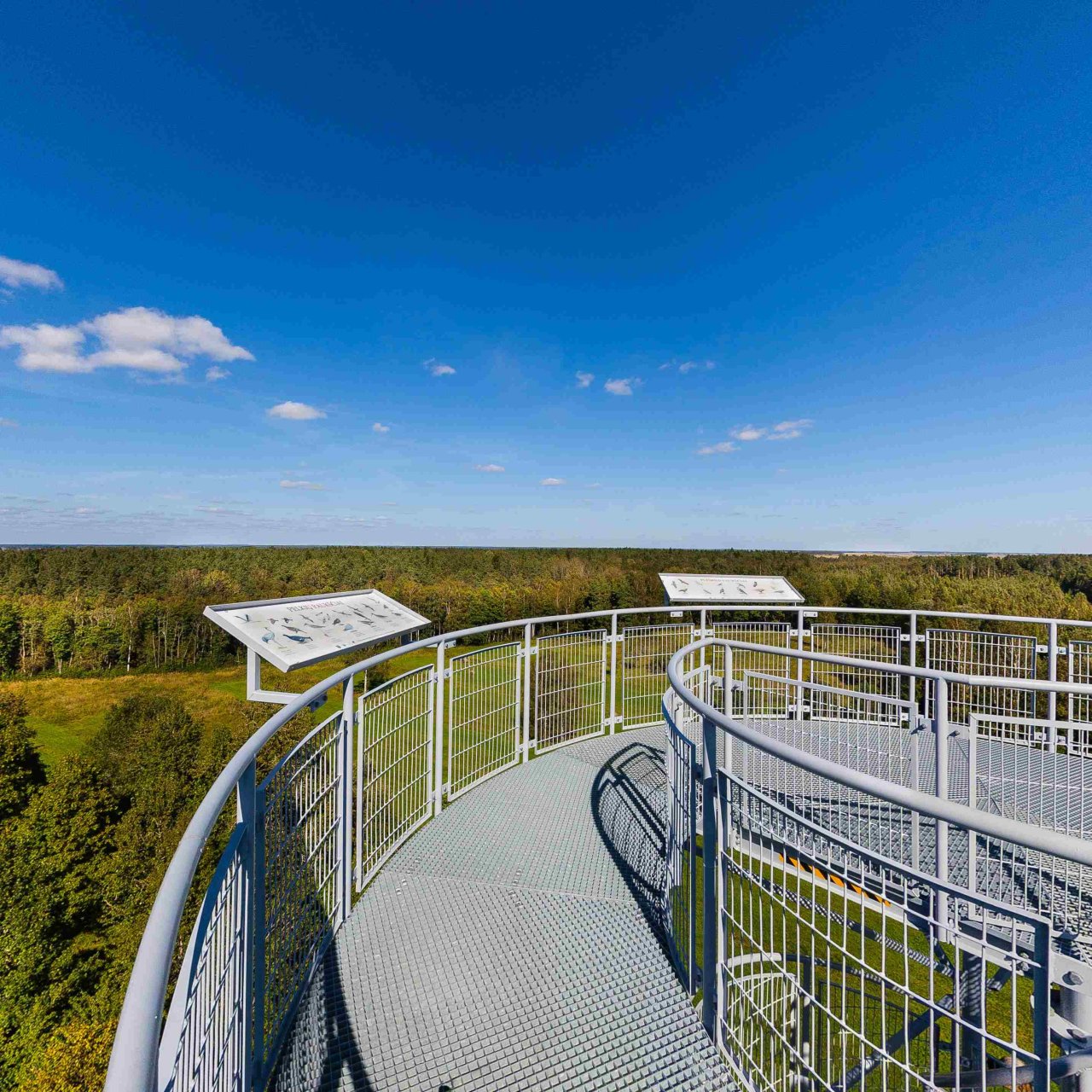 Kamanų apžvalgos bokštas (nuotr. iš Akmenės rajono sav.)