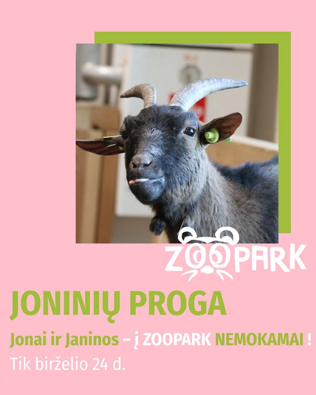 Joninės ZOOPARK Kaune