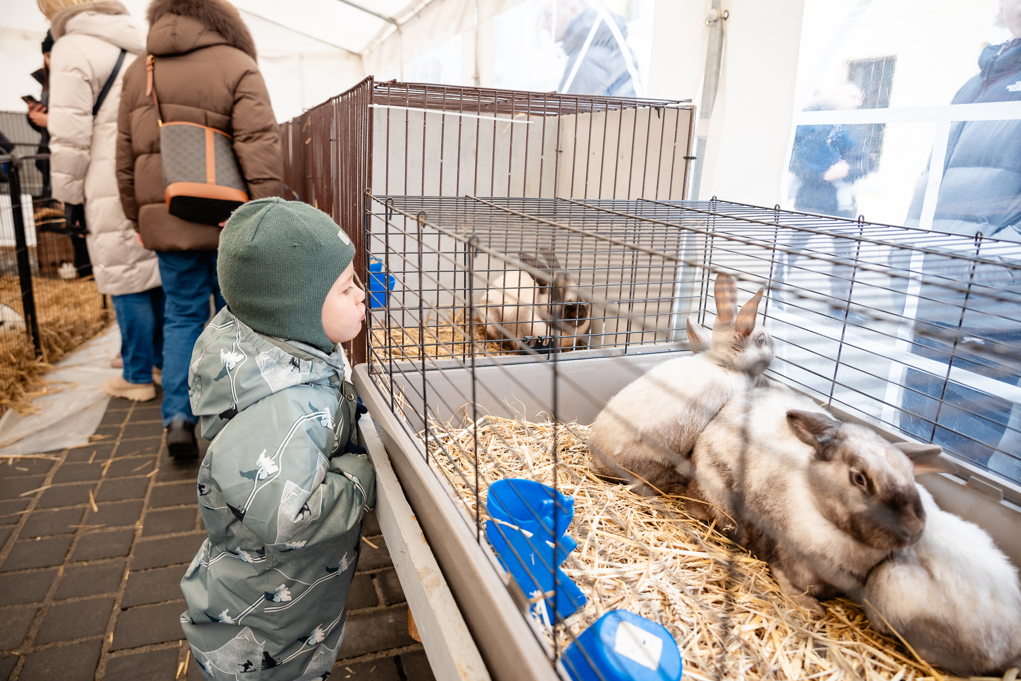 Kaziuko mugė Klaipėdoje (nuotr. Radvilė Kucevičiūtė)