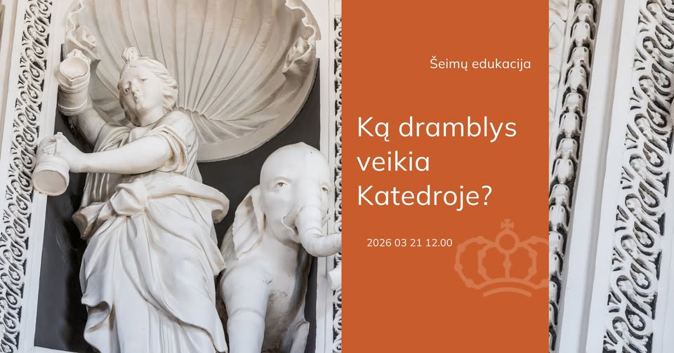 Šeimų edukacija Ką dramblys veikia Katedroje?