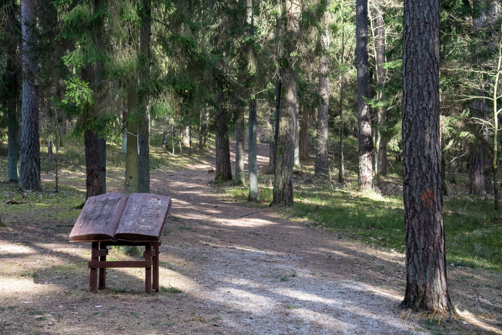 Kulautuvos sveikatingumo takai (nuotr. iš „Nesėdėk namuose“ svetainės)