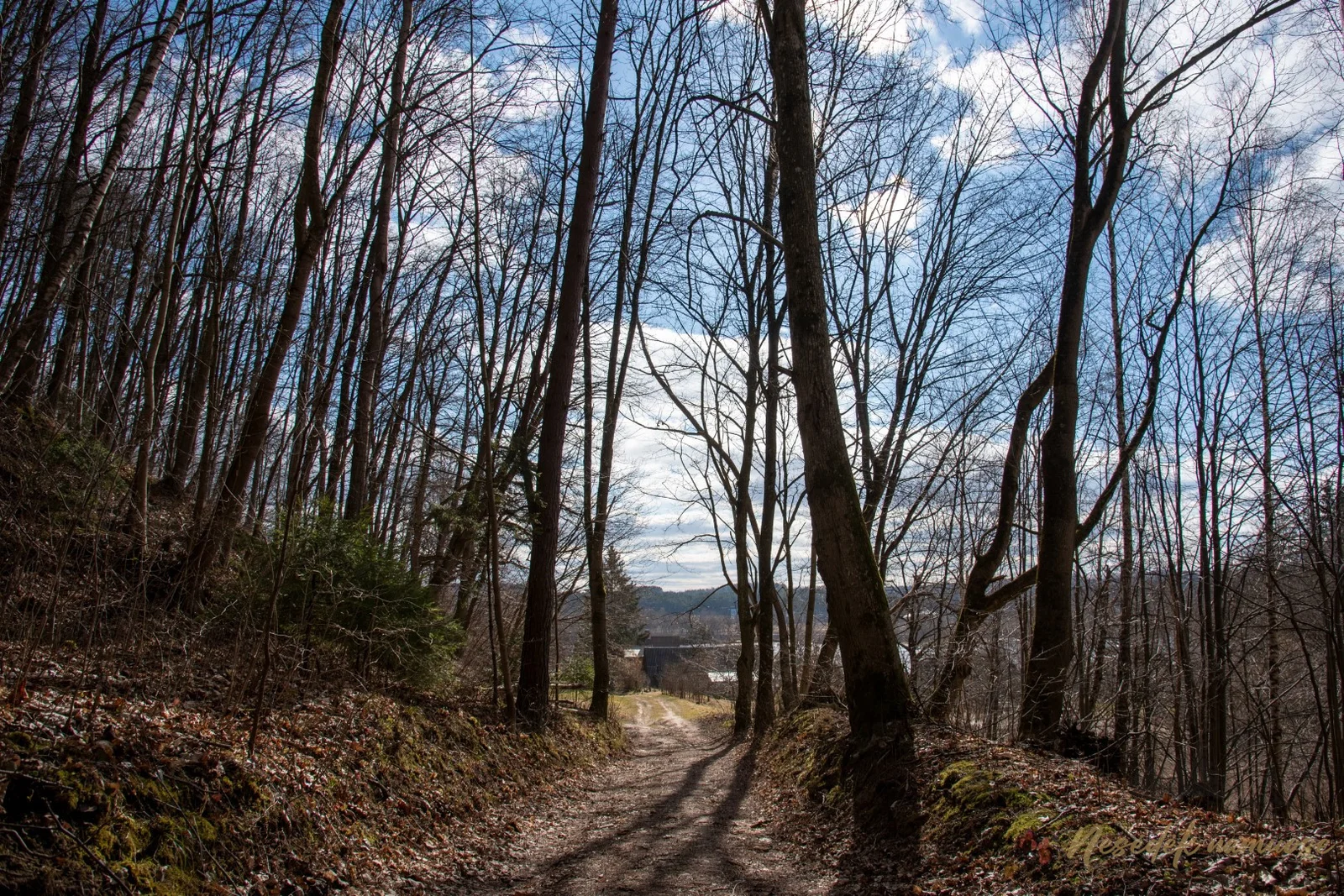 Kulautuvos sveikatingumo takai (nuotr. iš „Nesėdėk namuose“ svetainės)
