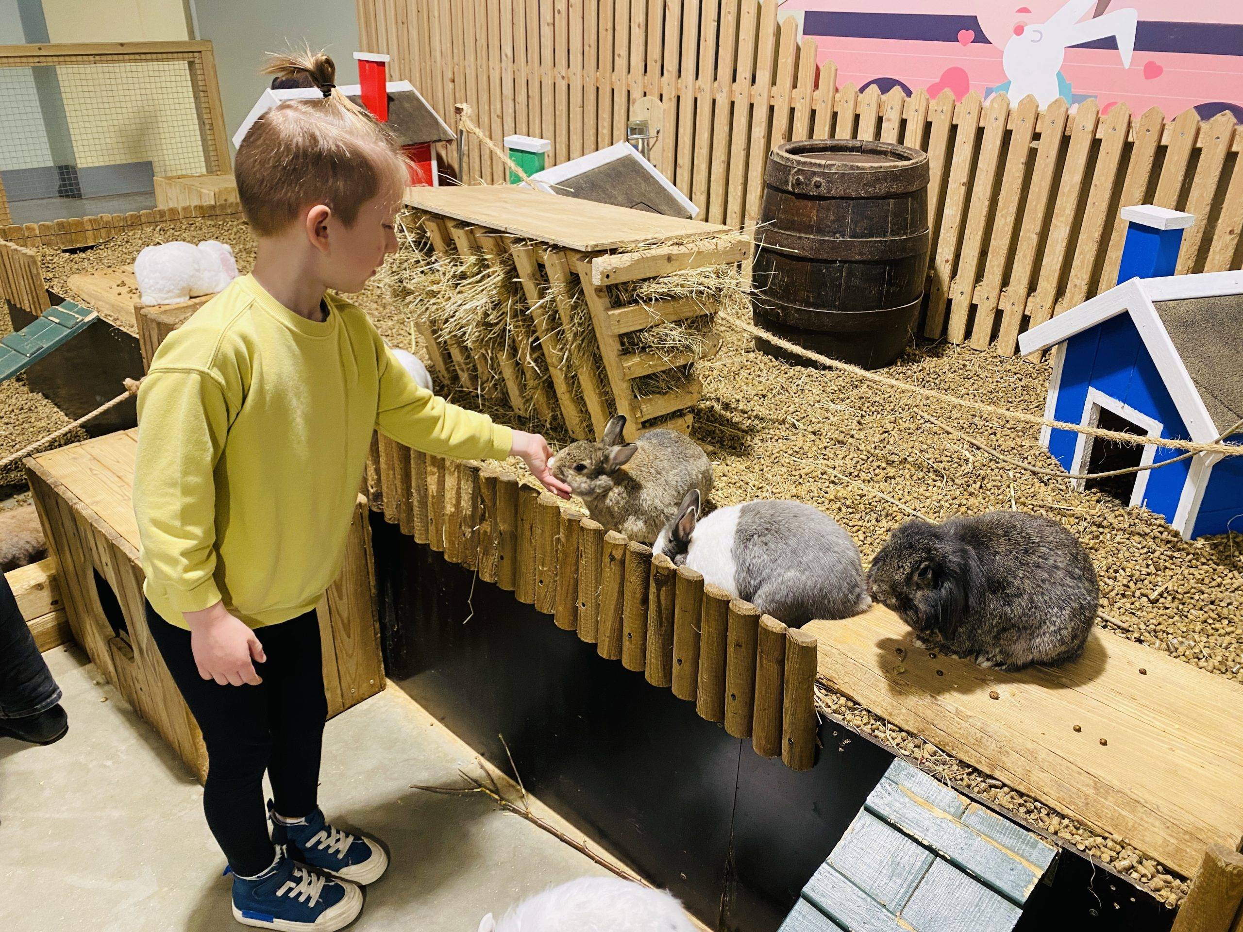Kultūros paso edukacijos Zooparke su gyvūnais