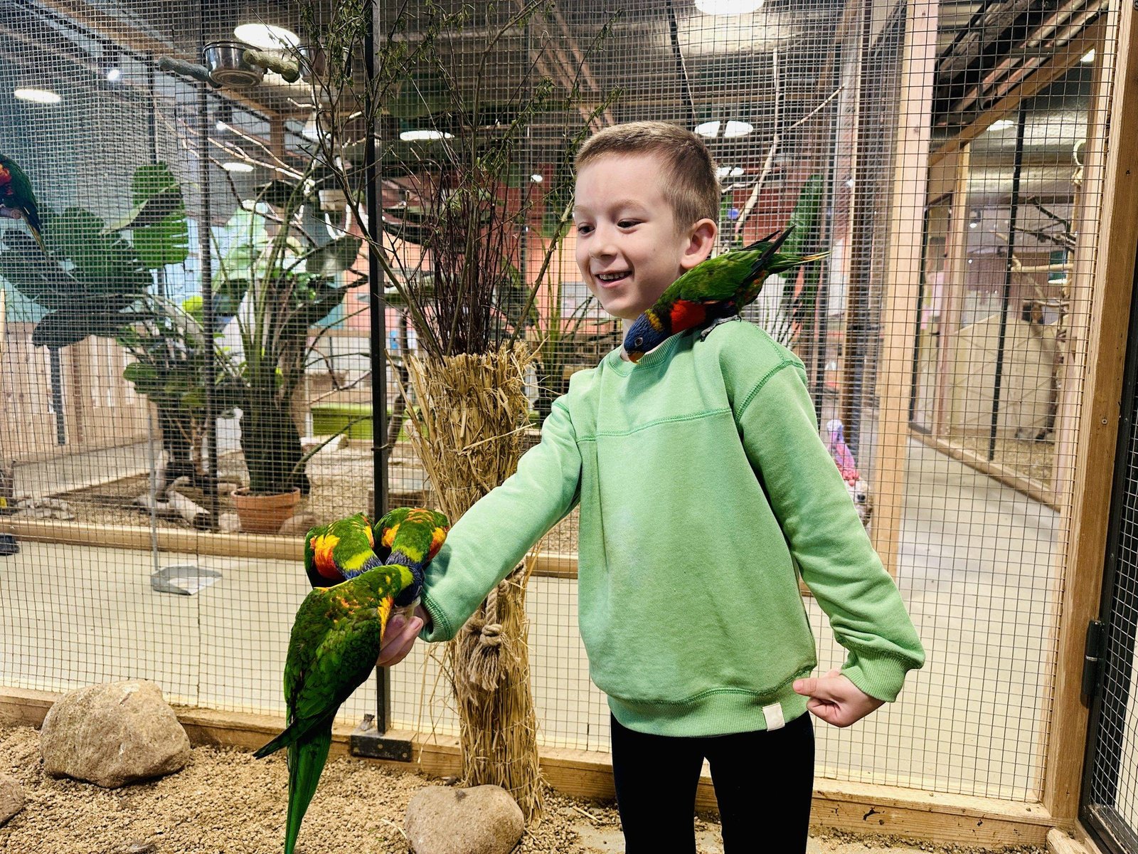 Kultūros paso edukacijos Zooparke su gyvūnais