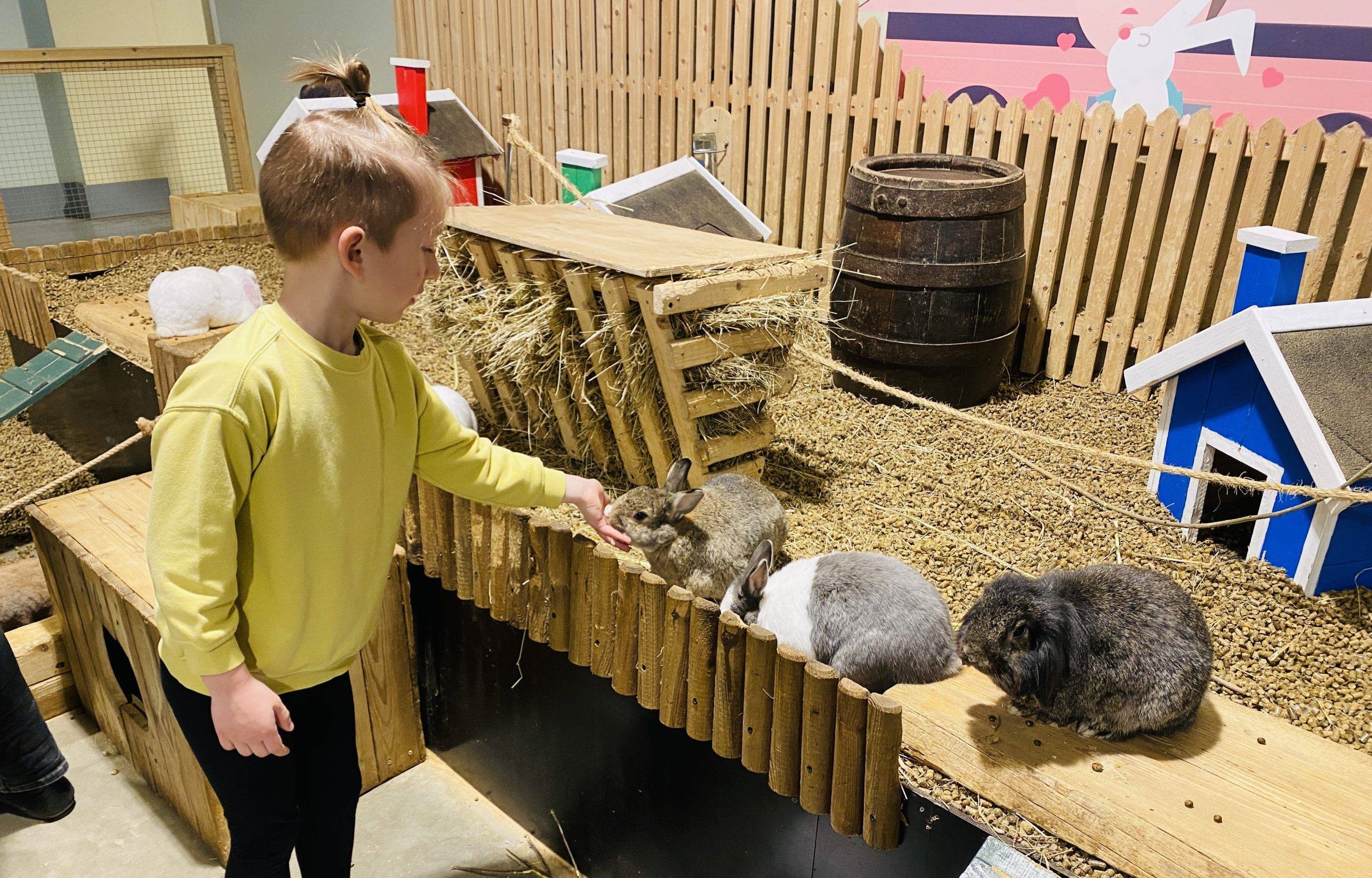 Kultūros paso edukacijos Zooparke su gyvūnais
